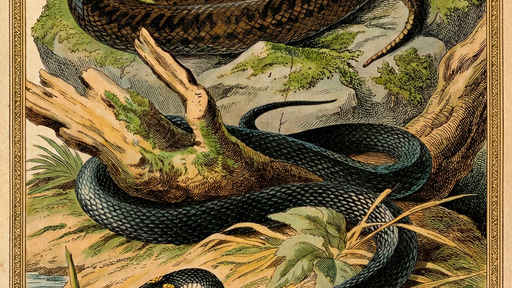 Биология курсы и занятия. Мышление и разум