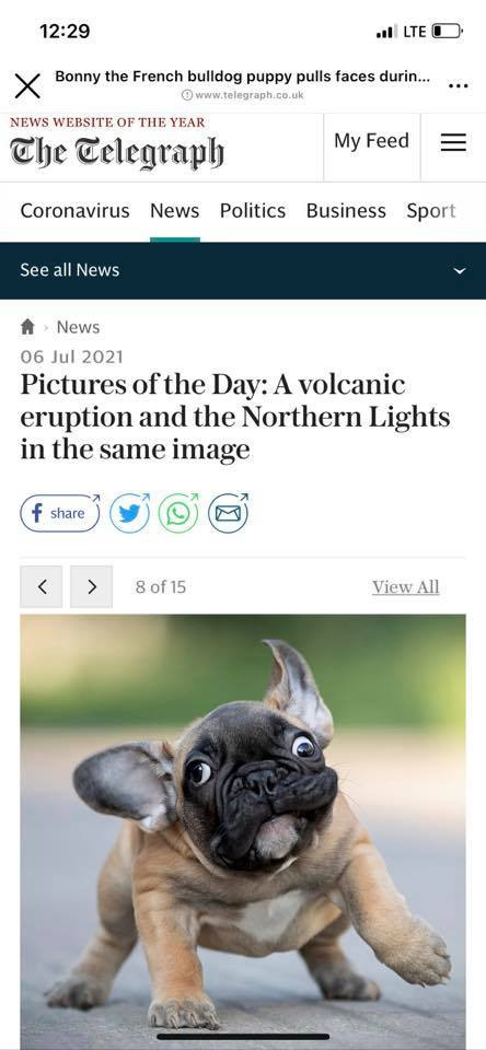 Публикации. Фотограф анималист в Санкт-Петербурге Светлана Писарева