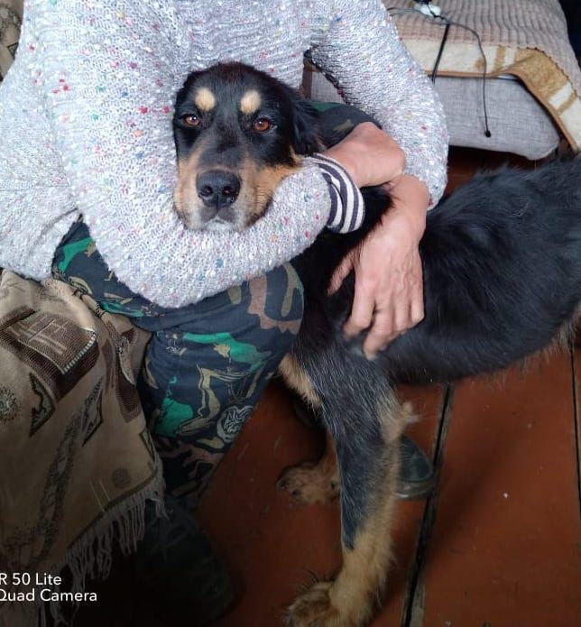 Команда экофермы Марии Гиппенрейтер. Эко отдых в Подмосковье в эко-отеле Марии Гиппенрейтер