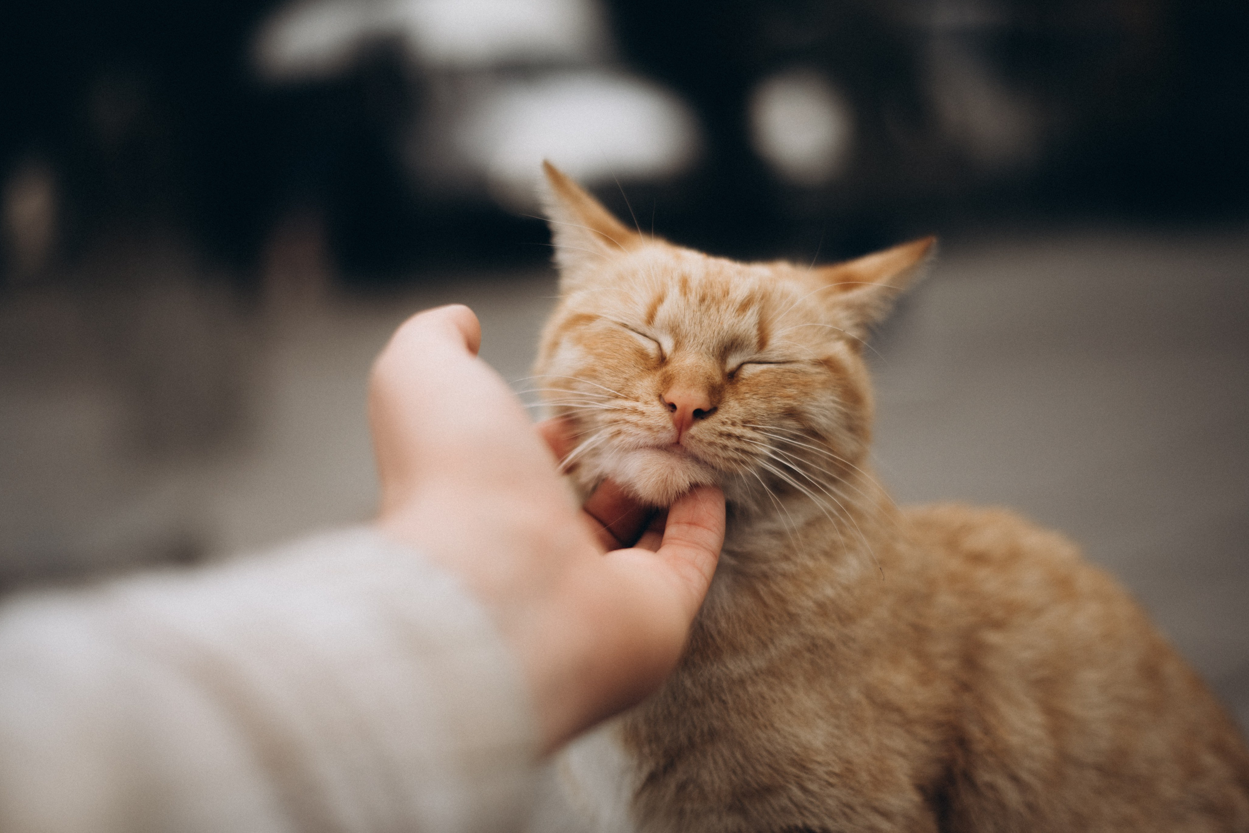 Что лежит у меня в шкафу для съемок и сколько это всё стоит