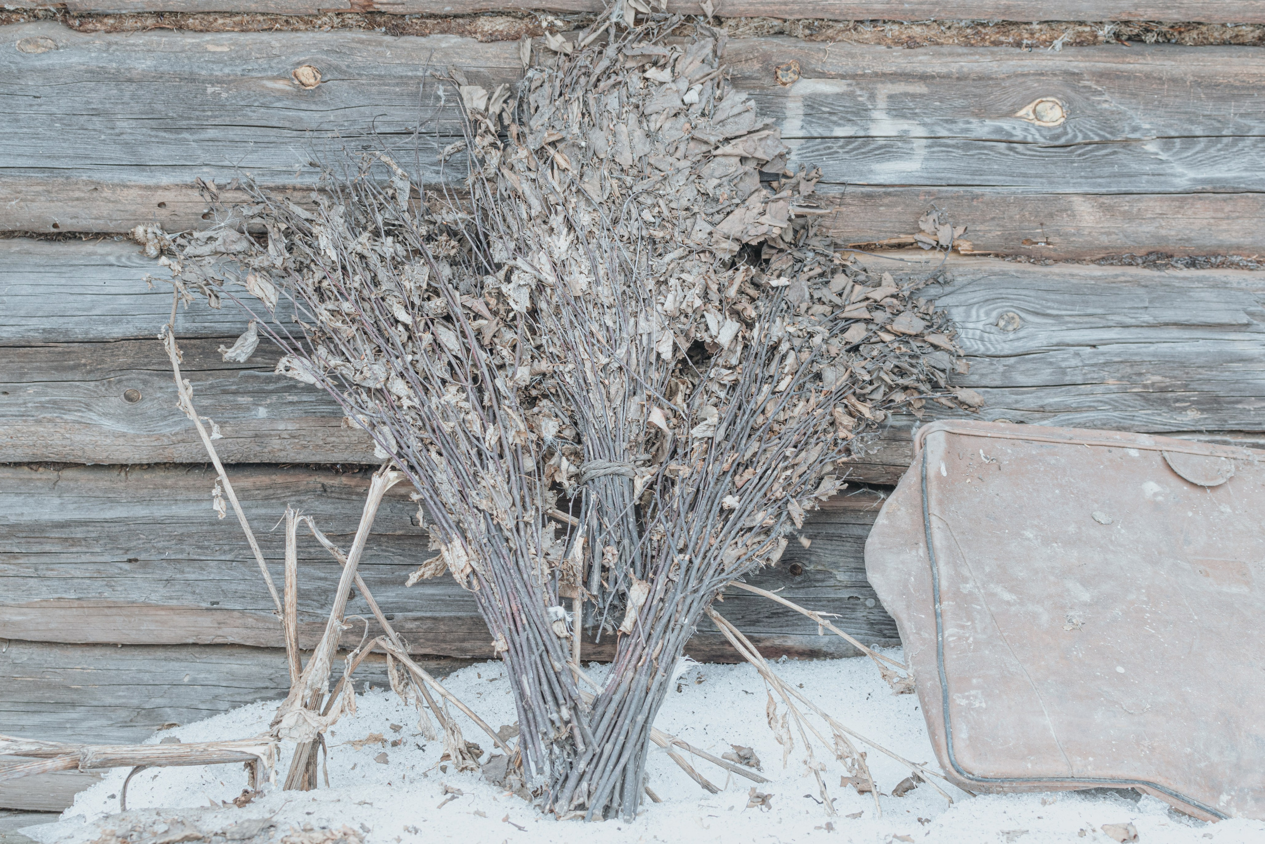 Здесь песни больше не слышны. Katya Medvedeva