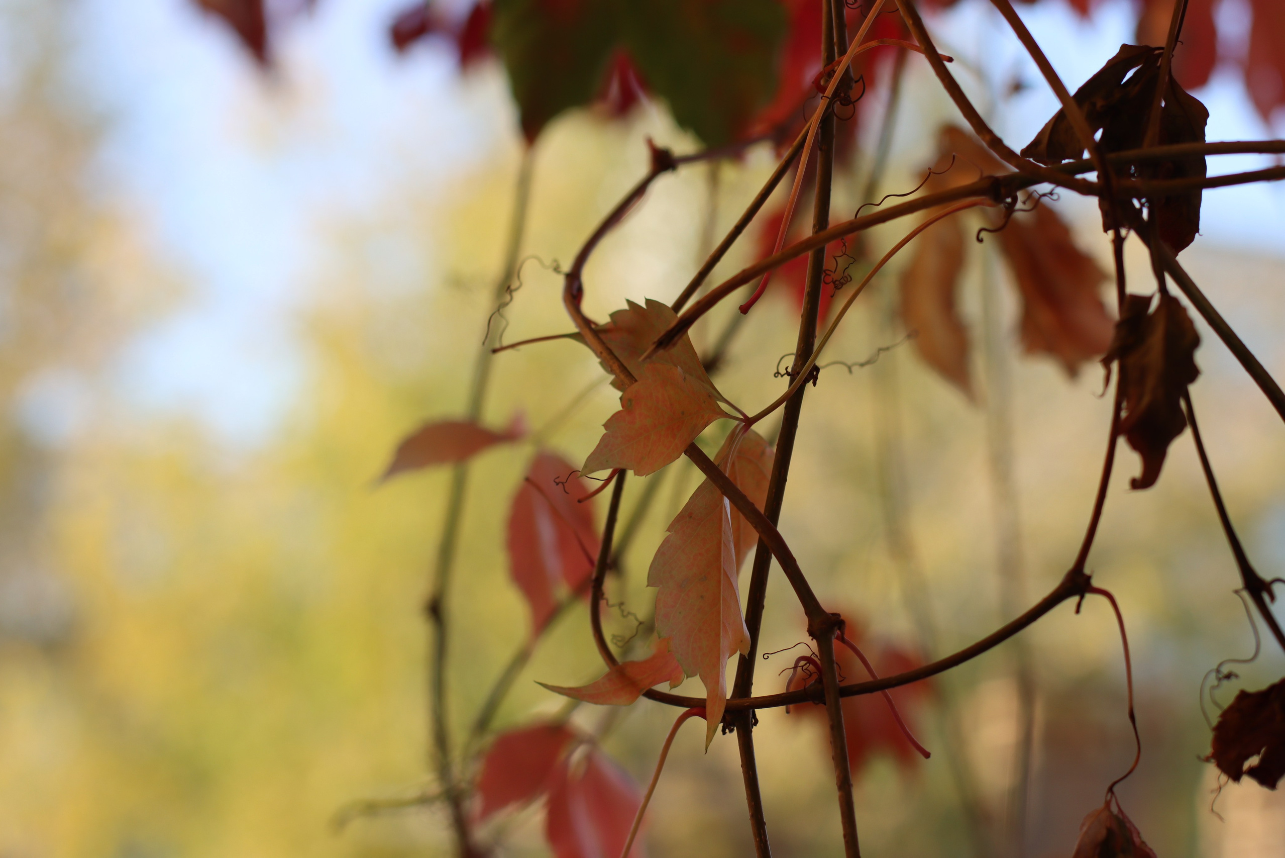 Фотограф, получающий удовольствие от своей работы