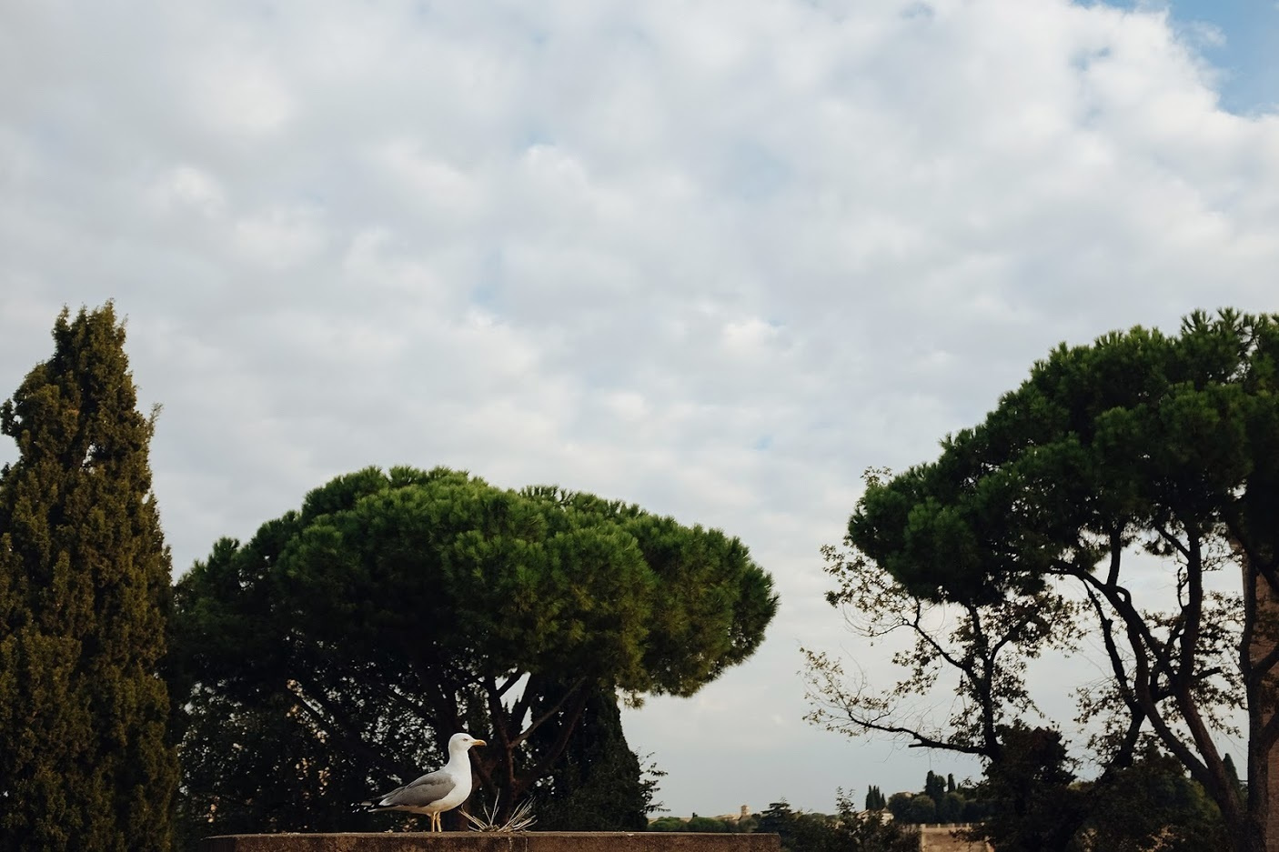 Рим. Италия. Октябрь 2014. Фотографии, впечатления, эмоции и шот вечеринка. Фотограф Игорь Цаплин