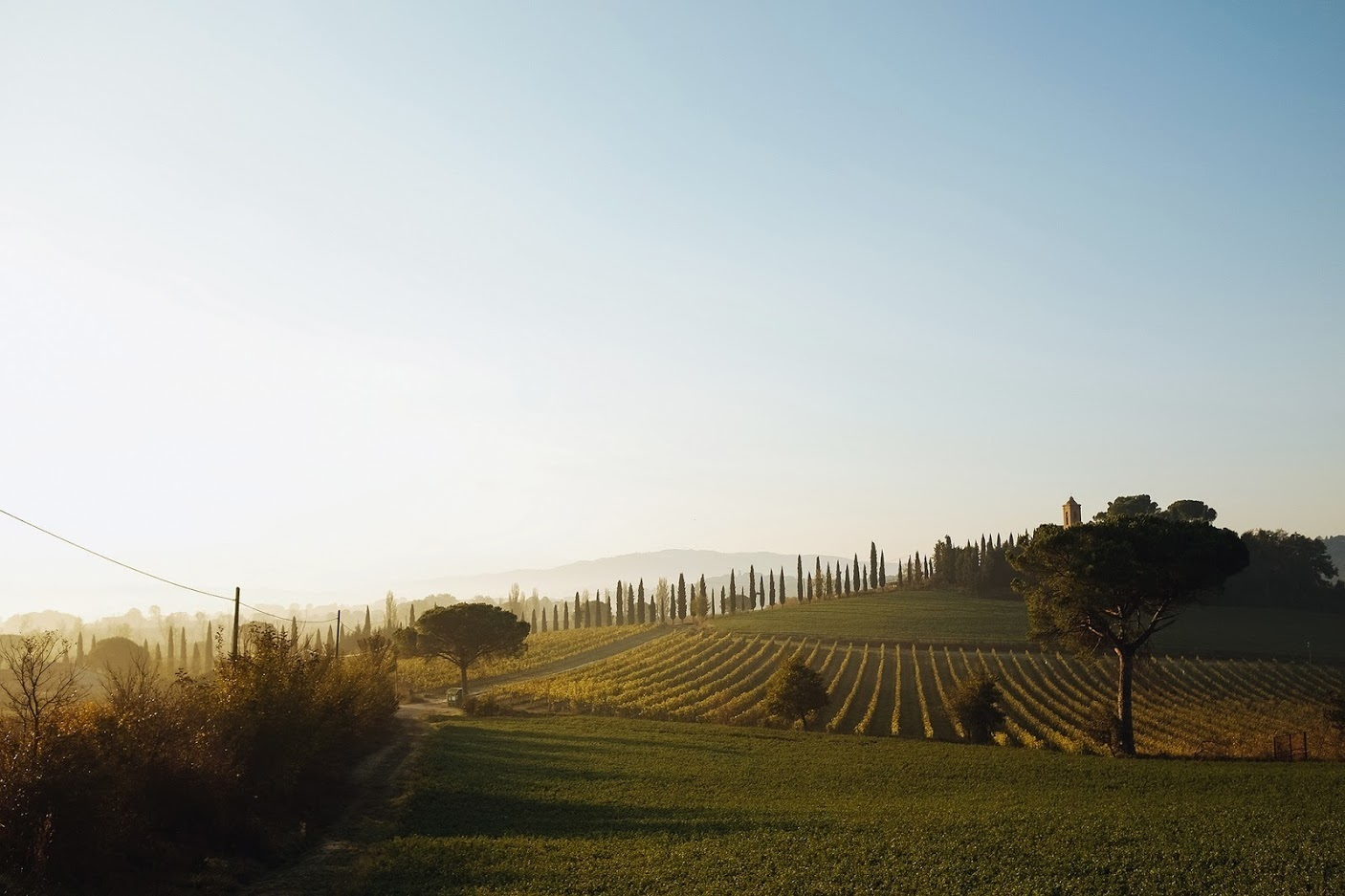 Тоскана. Италия. Октябрь 2014. Фотографии, впечатления, эмоции. Фотограф Игорь Цаплин