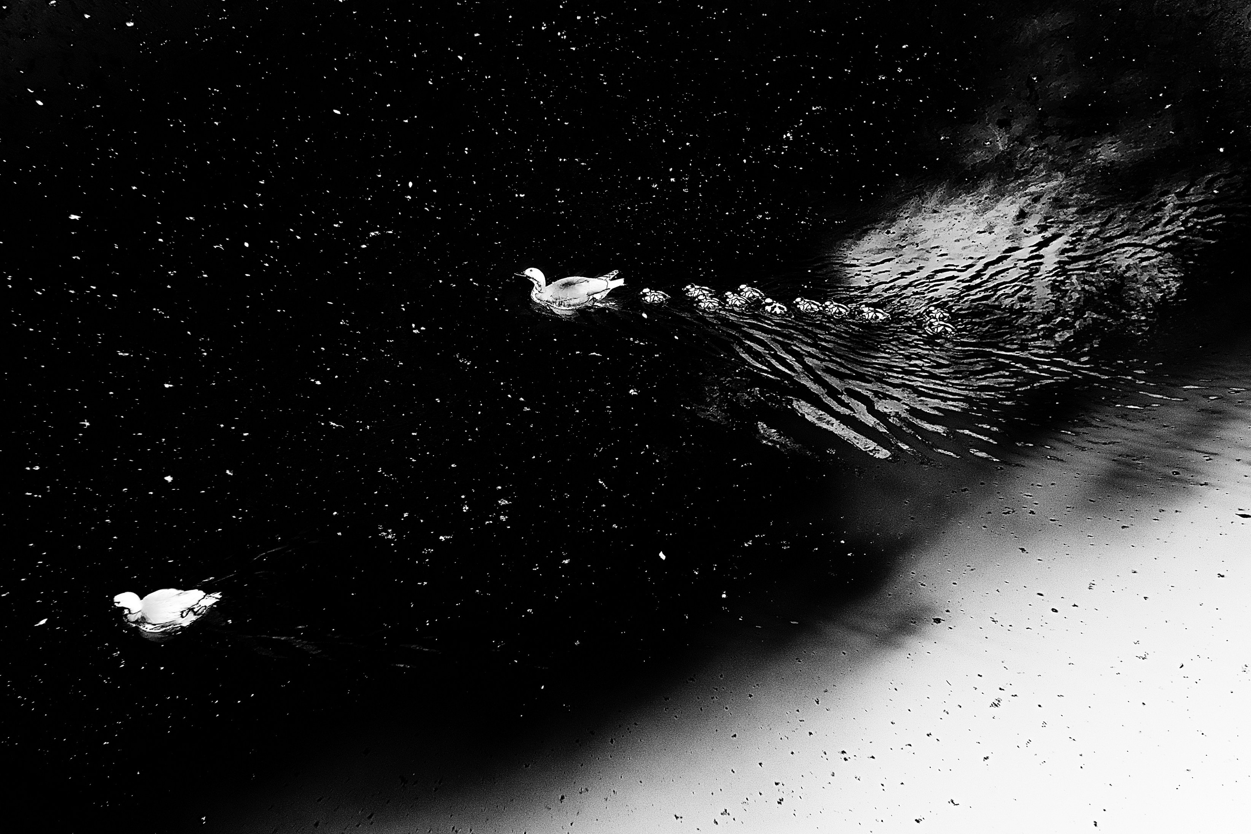 «Граница утрачена» Алена Жамоздик. PUNCTUM