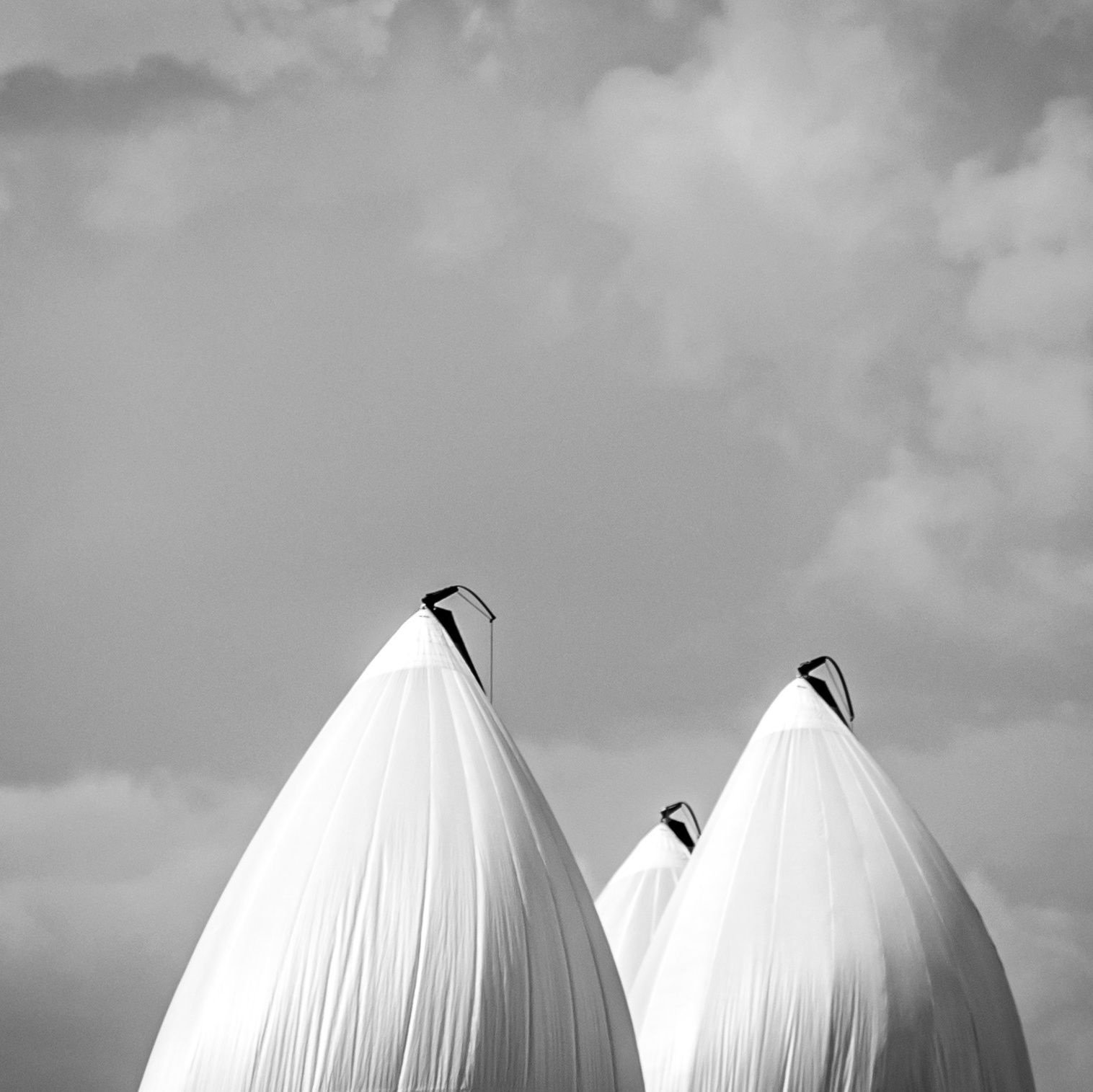 Услуги. Парусный фотограф из дождливого Петербурга