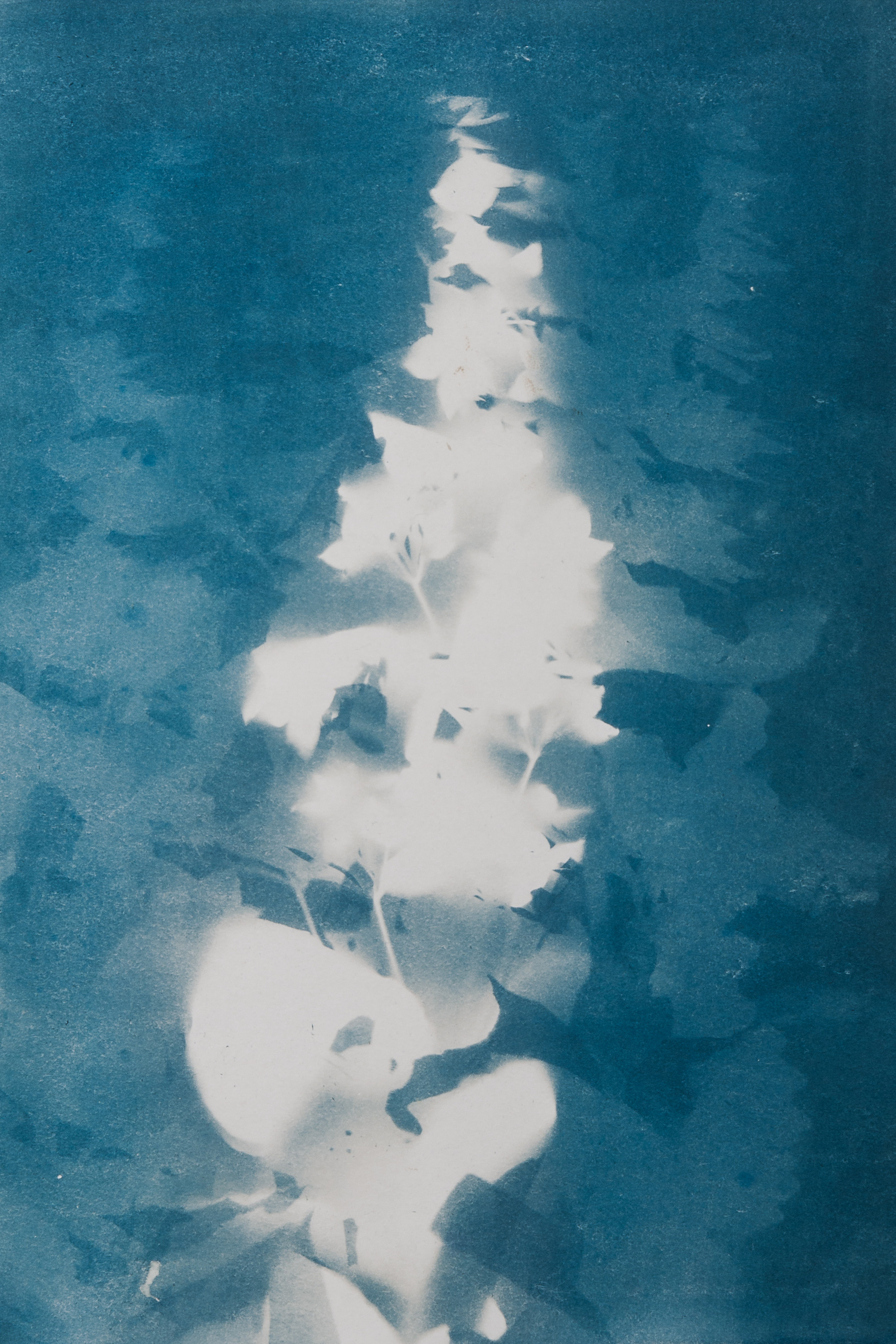 Фотограф, фотохудожник в городе Петрозаводске Анна Кондюкова