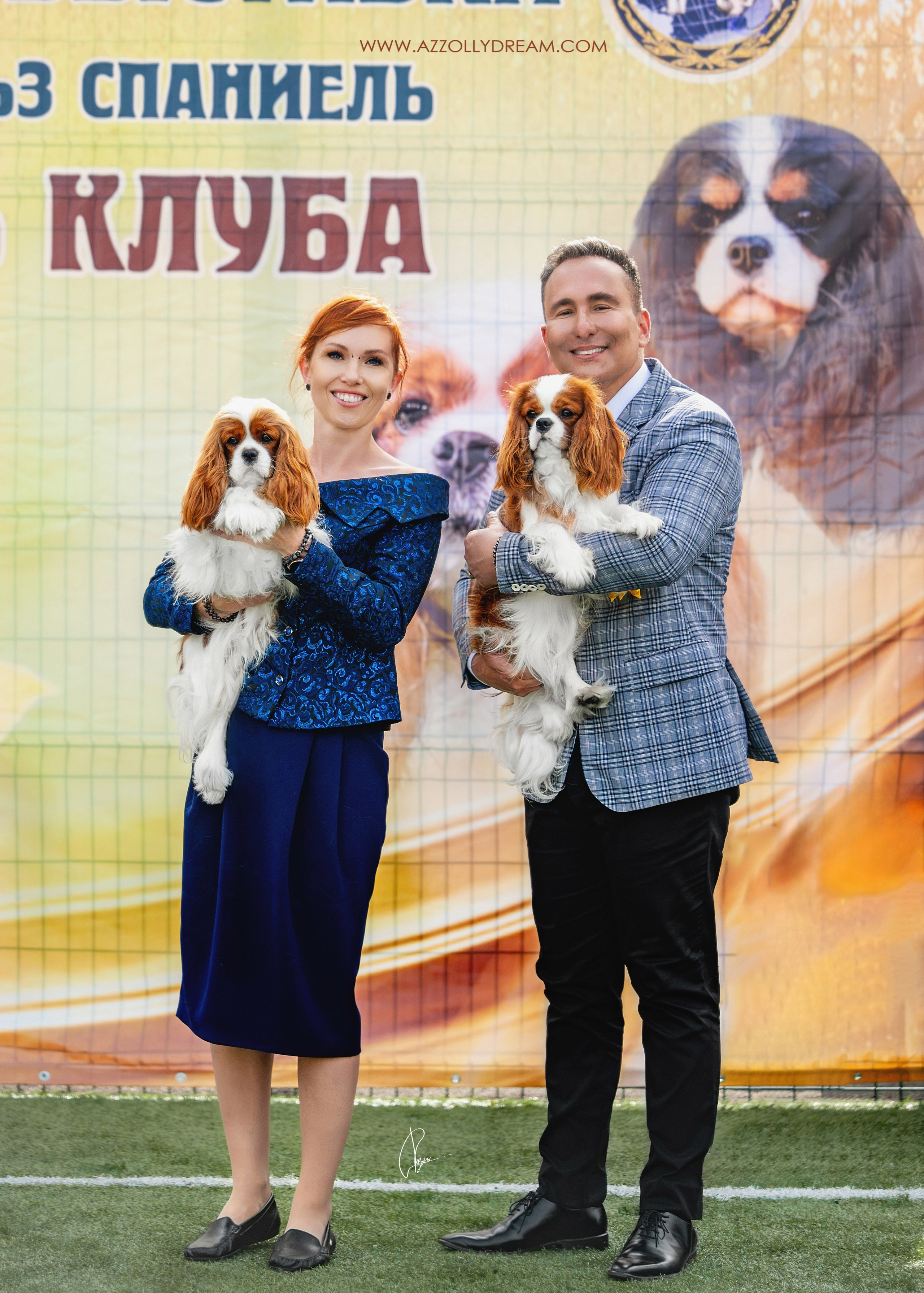 Шоу выставки и победы собак питомника Аззолли Дрим кавалер кинг чарльз спаниель в Воронеже. Питомник кавалер кинг чарльз спаниелей