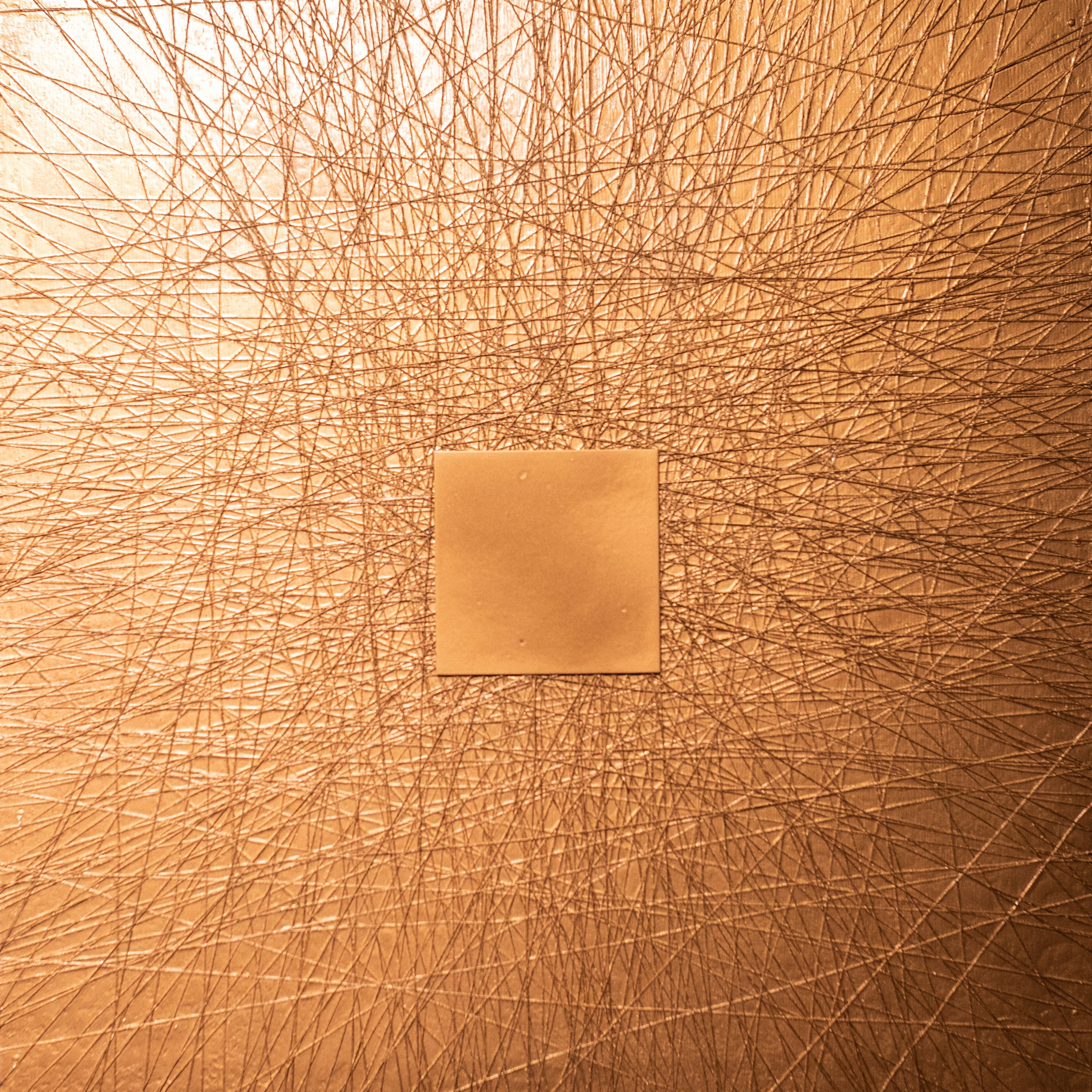 КАРТИНЫ. ANNSENSUS