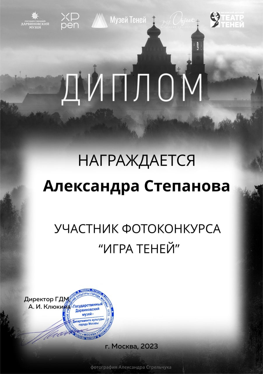 ДОСТИЖЕНИЯ. Фотограф Александра Степанова