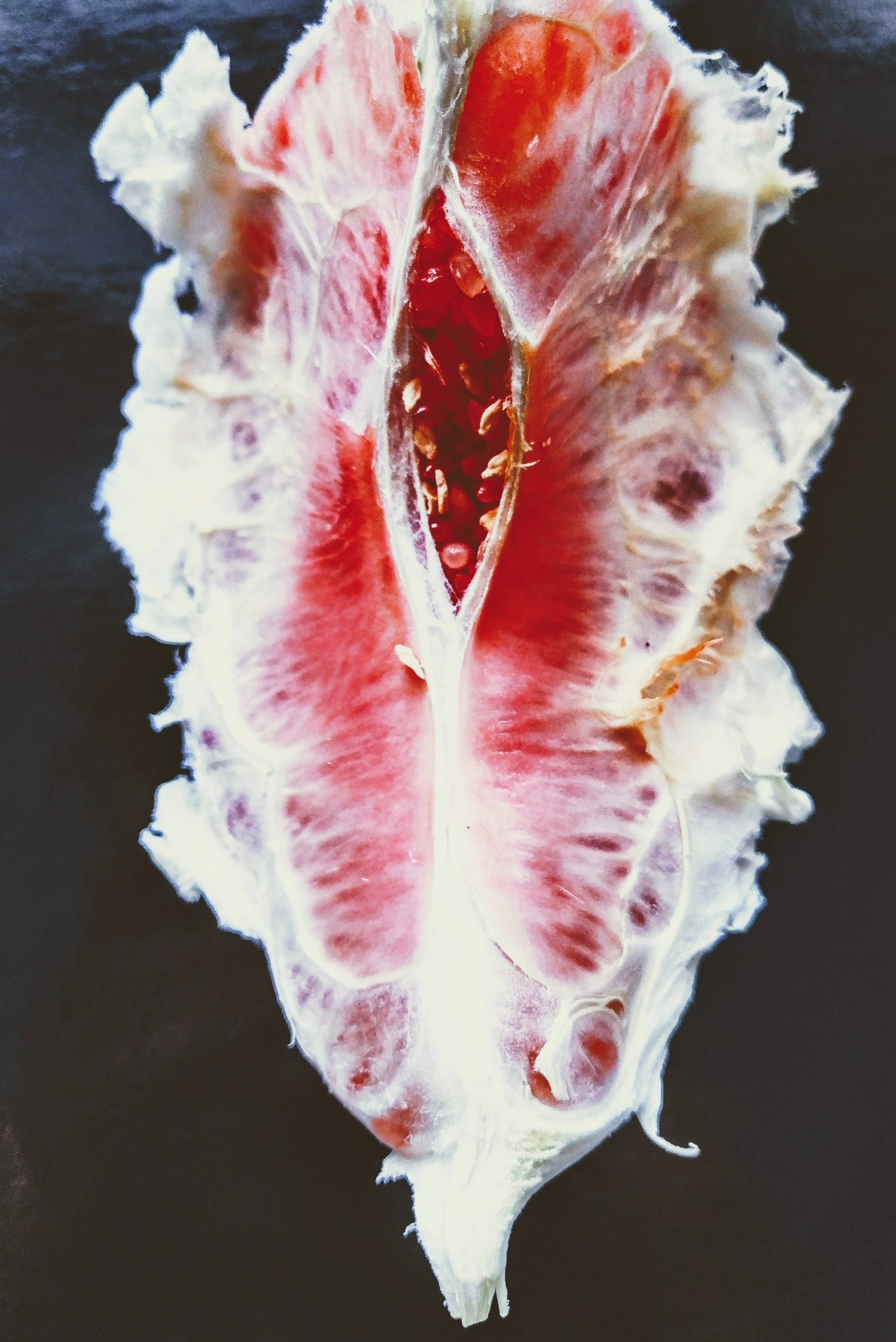 ПРОЕКТЫ И ИСТОРИИ. Катерина Малама арт-фотограф