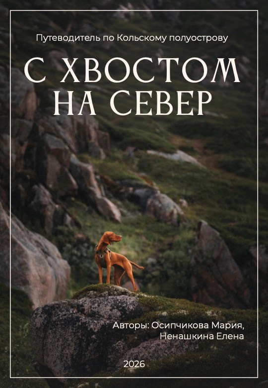 Гайд по Кольскому полуострову. Фотограф анималист Осипчикова Мария
