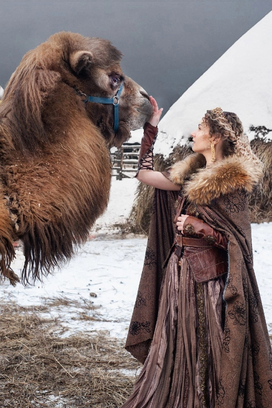 ФОТОСЕССИЯ С ЖИВОТНЫМИ. Свадебный фотограф