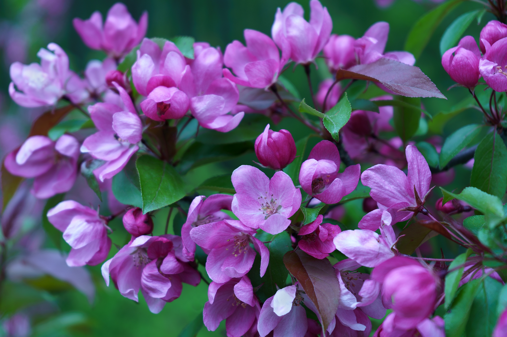 Мои фотоработы на выставке проекта ФОТОСЕЗОНЫ-2024. Фотохудожник в Москве Виктория Лаврова Искусство авторской фотографии для Вас