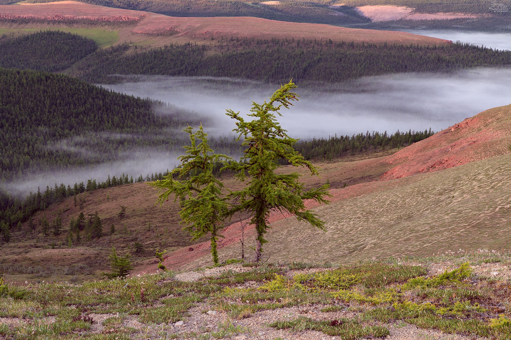 Река Оленёк, нижнее течение