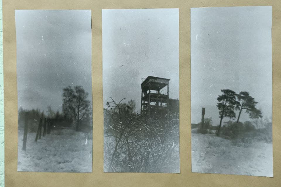 Foreign body. Julia Gorbunova