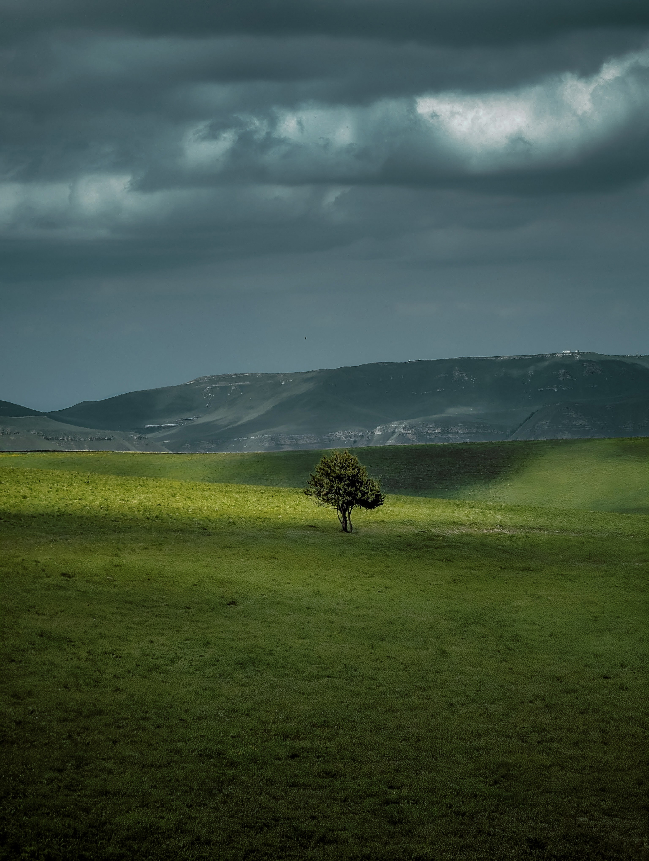 Работы учеников. ФОТОШКОЛА VISION — курс по мобильной фотографии в Москве, курс по фотографии Владимира Васильева