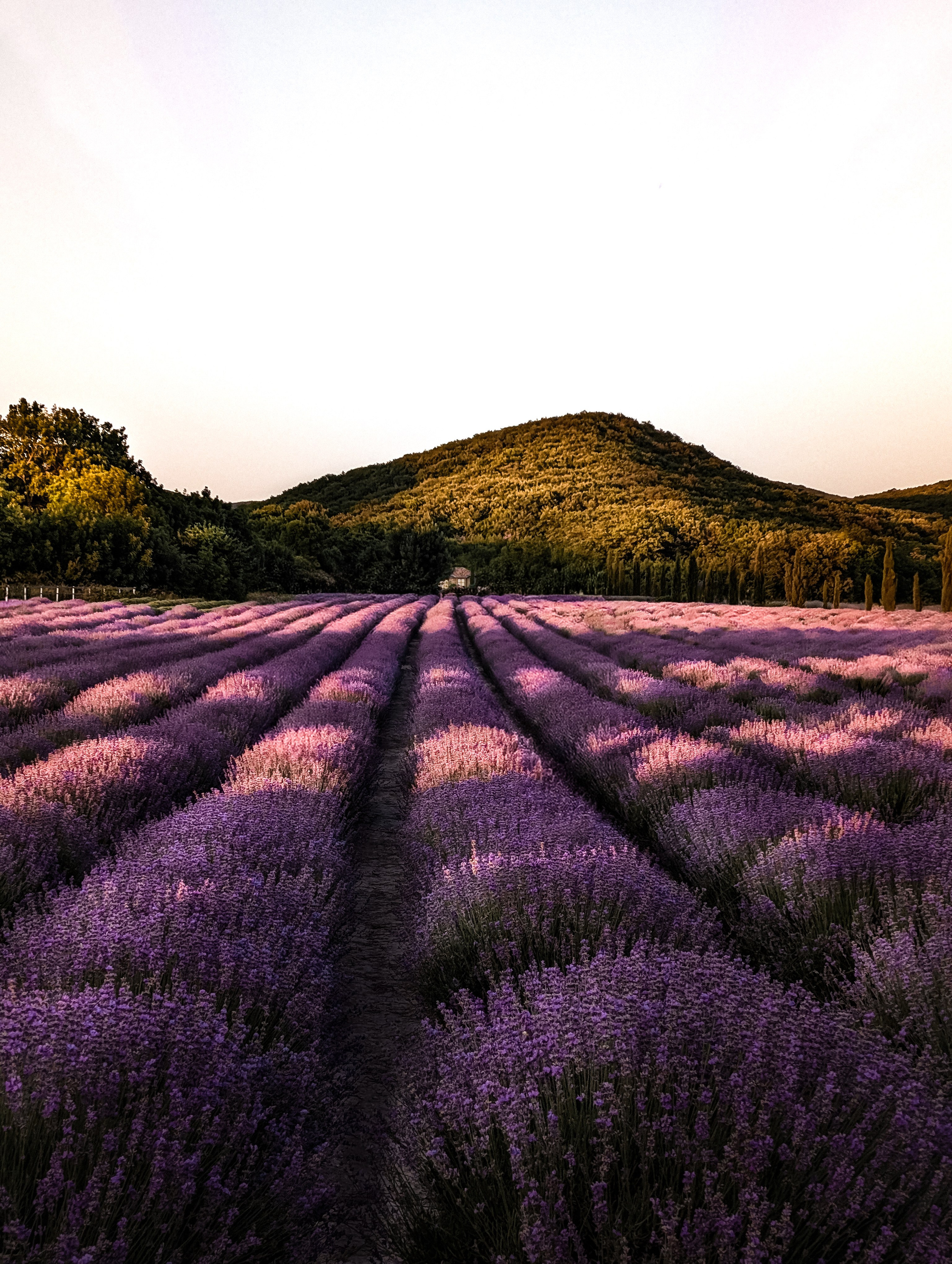 Работы учеников. ФОТОШКОЛА VISION — курс по мобильной фотографии в Москве, курс по фотографии Владимира Васильева