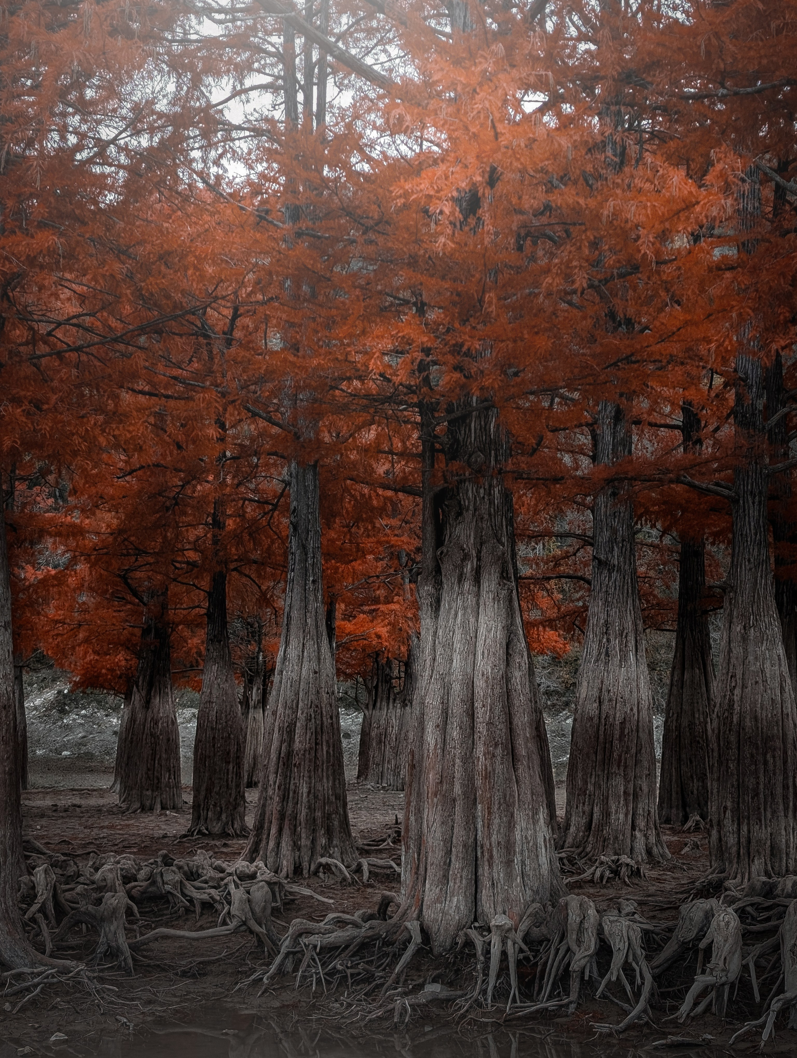 Работы учеников. ФОТОШКОЛА VISION — курс по мобильной фотографии в Москве, курс по фотографии Владимира Васильева