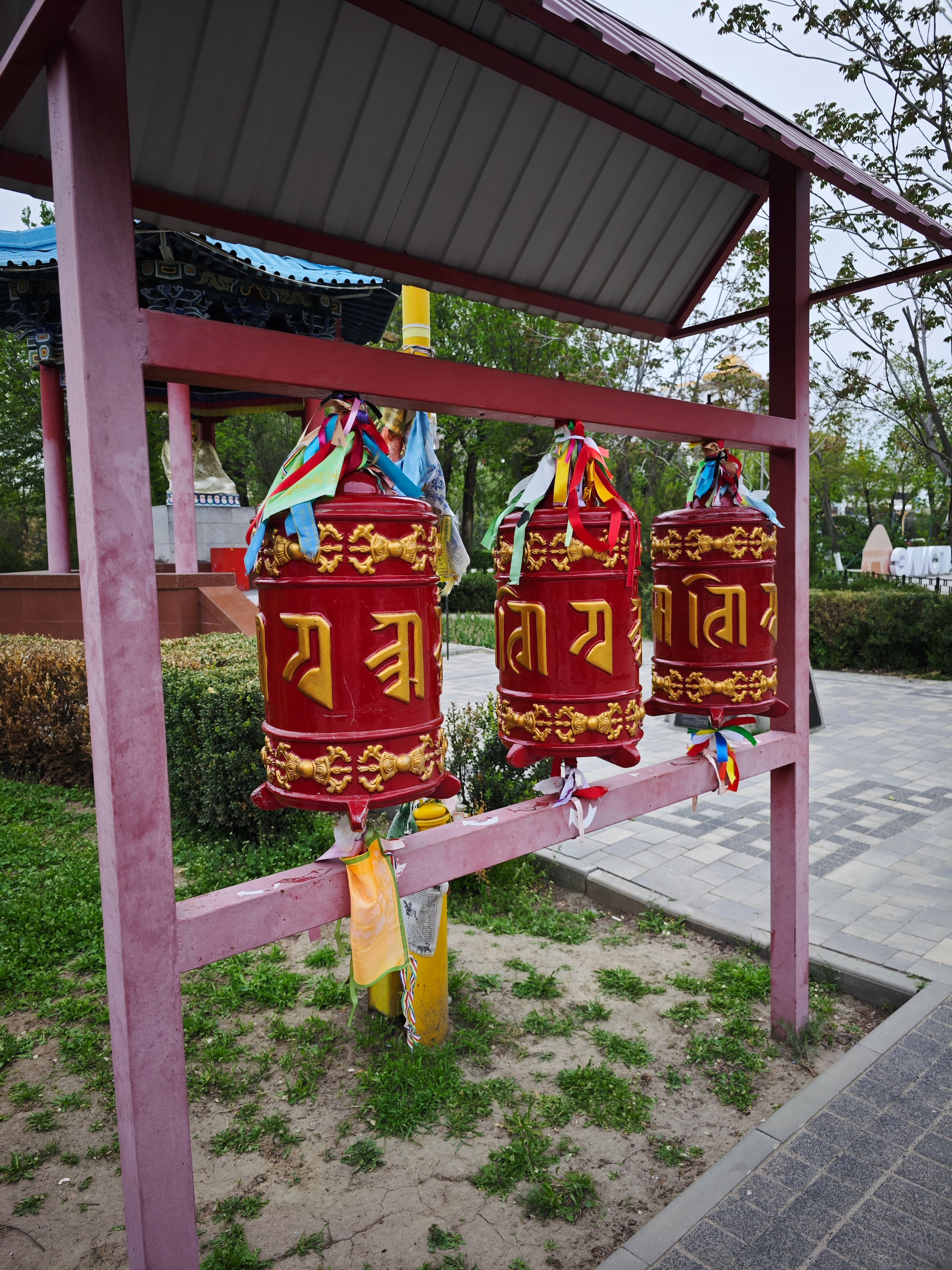 Калмыкия своим ходом на машине. Фотограф Тамара Нижельская Воронеж