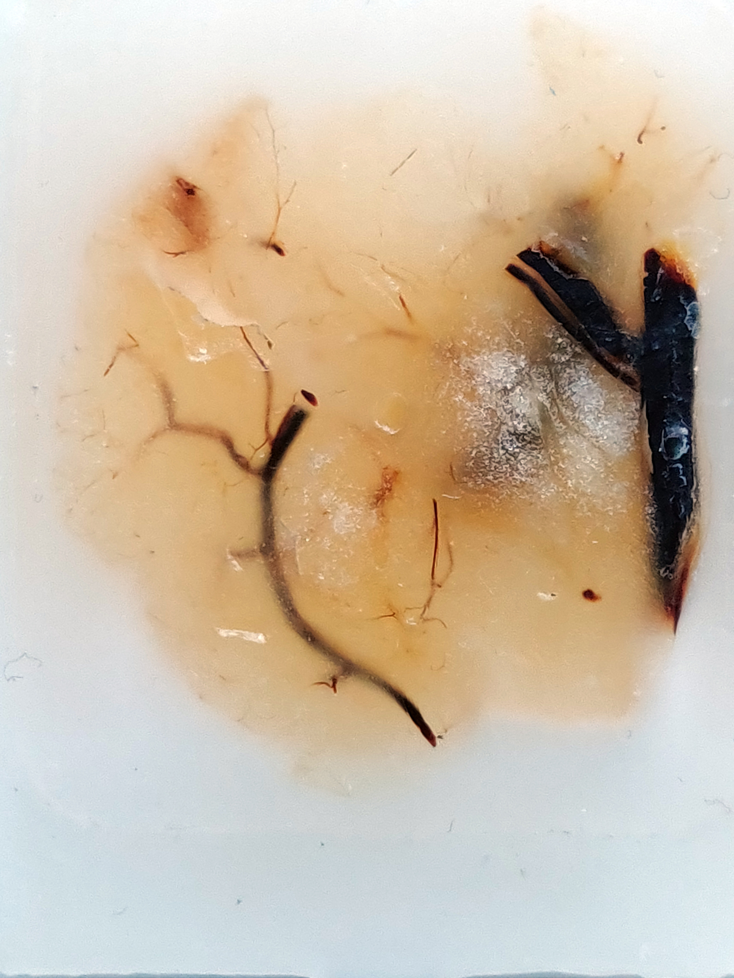 Екатерина Васильева художник, куратор и преподаватель