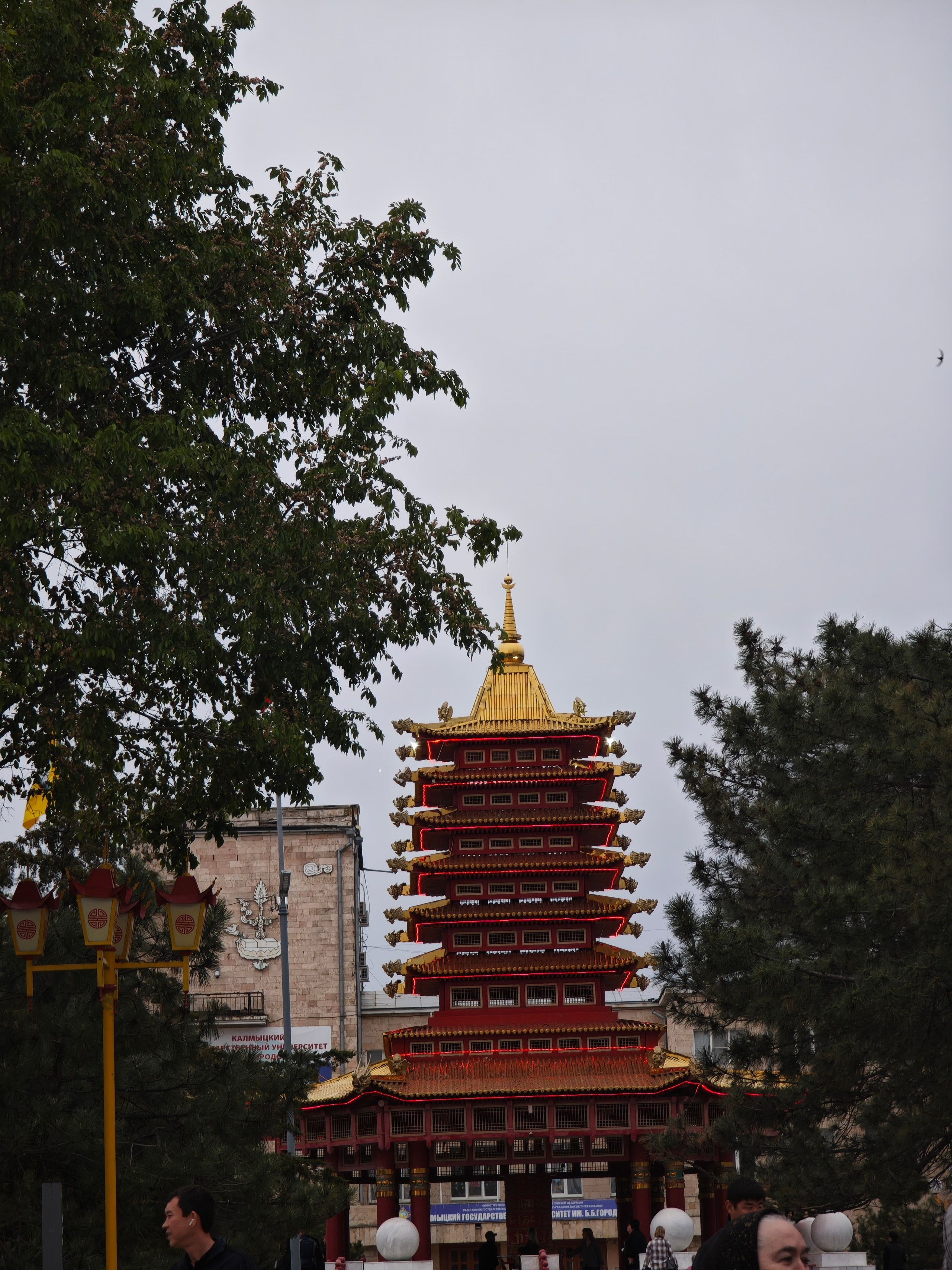 Калмыкия своим ходом на машине. Фотограф Тамара Нижельская Воронеж