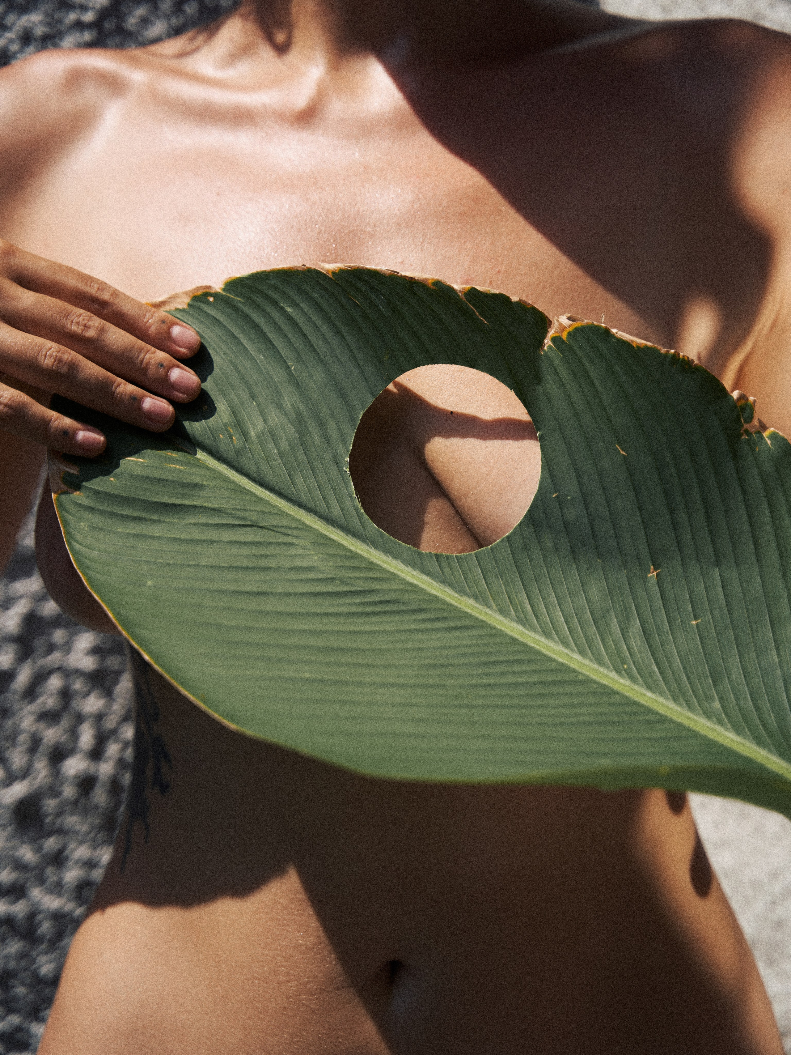 Oasis. Главная