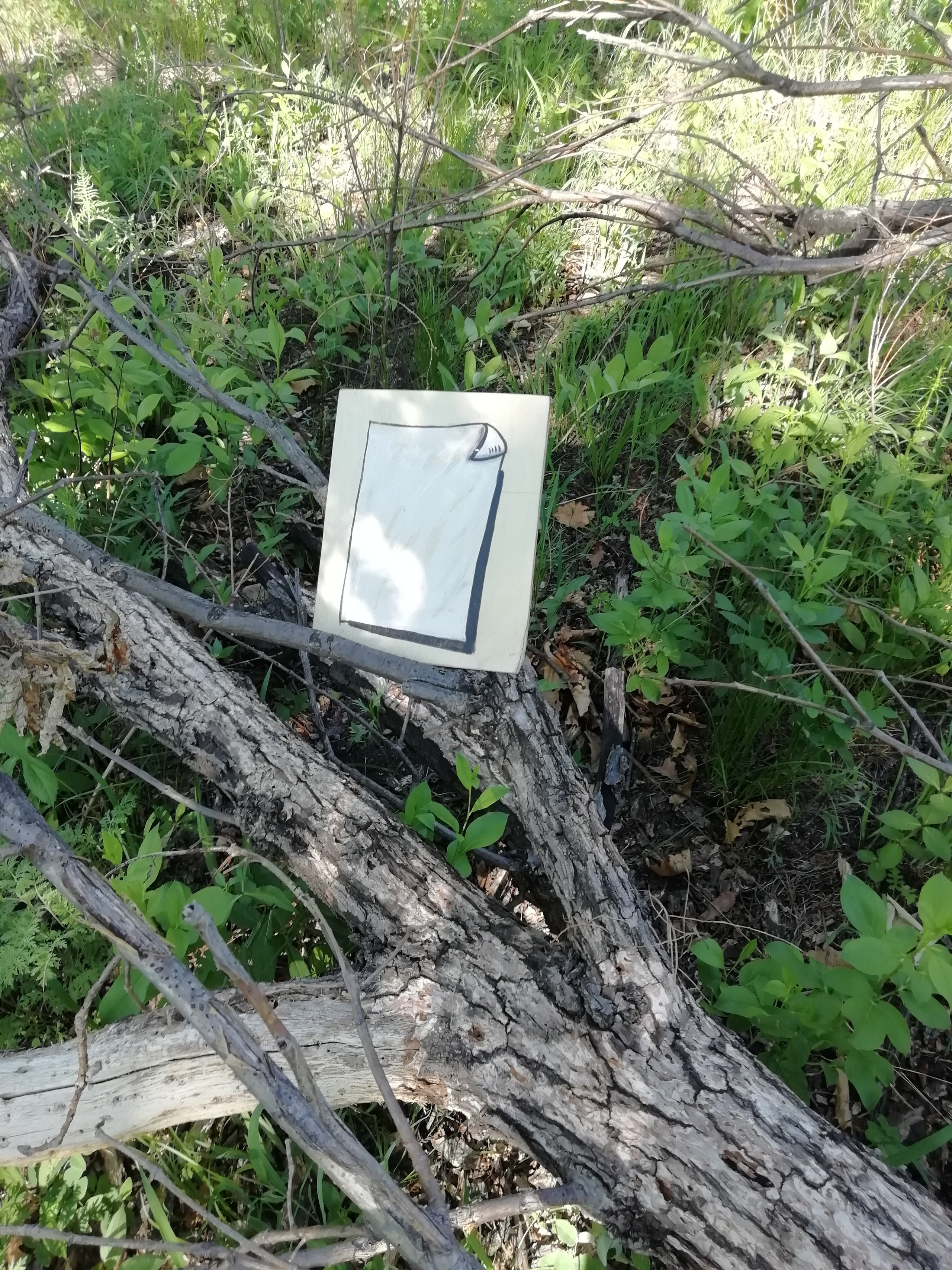 Локация № 1. Художник Рыбак Николай