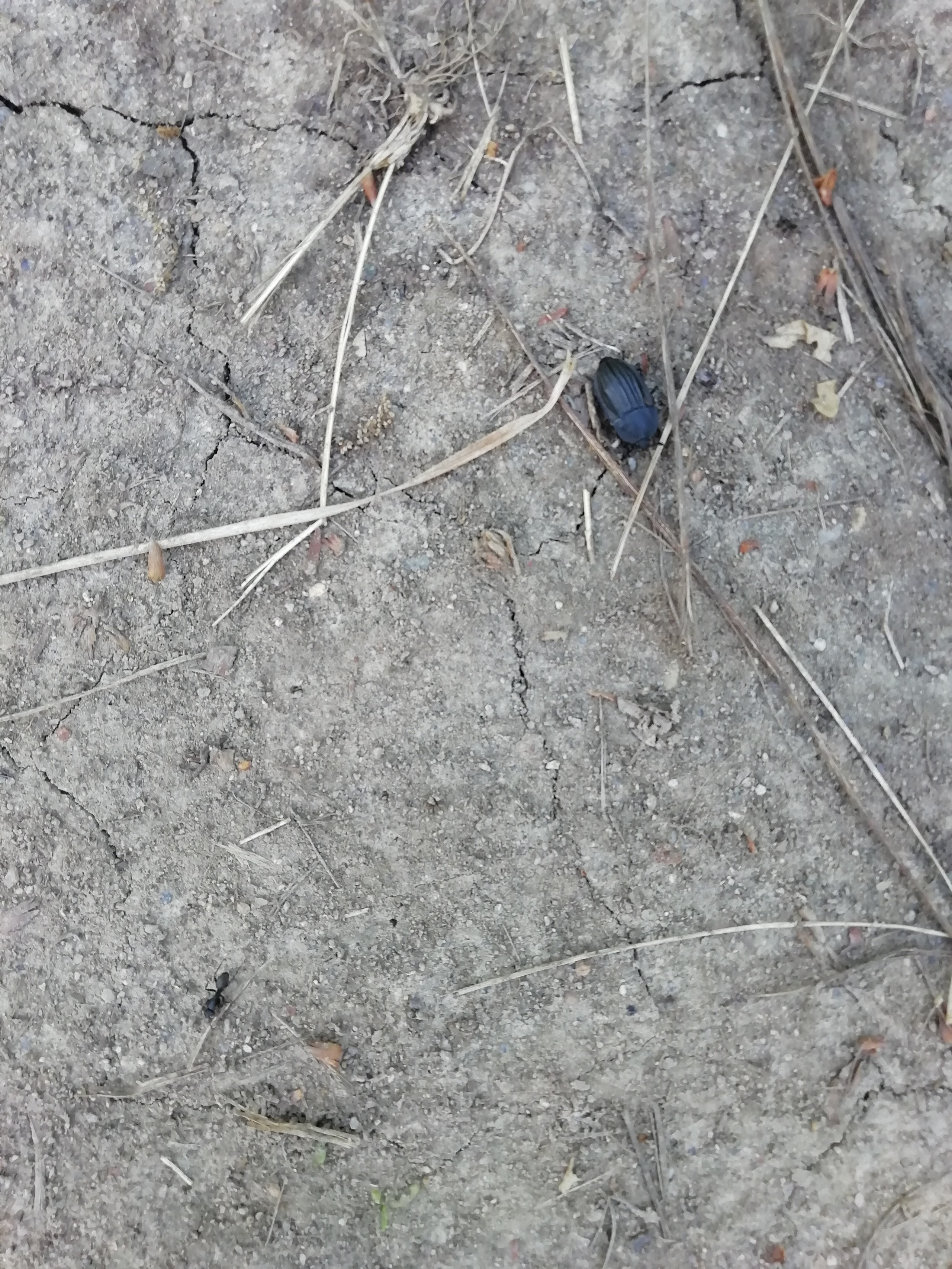 Локация № 1. Художник Рыбак Николай