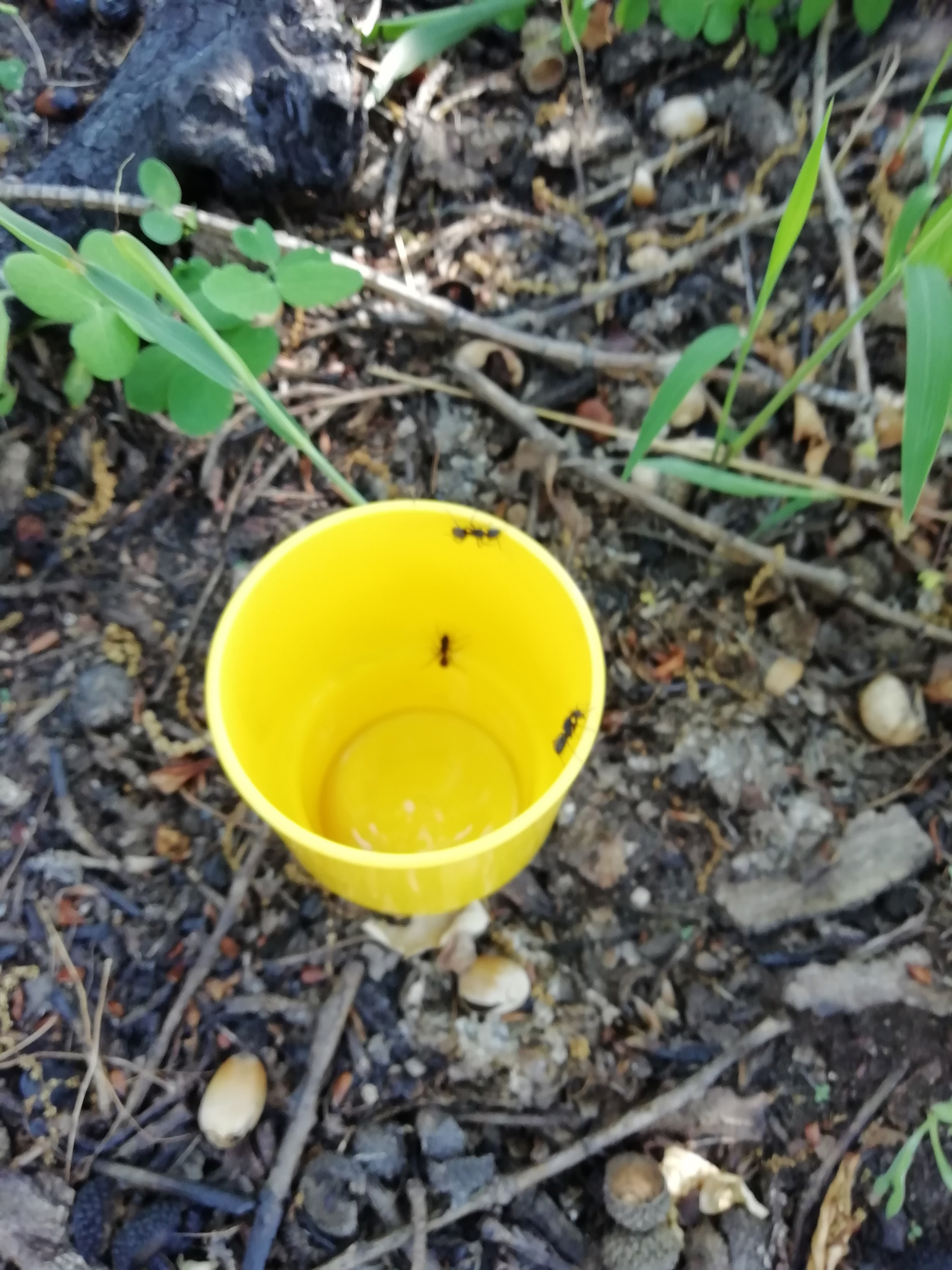 Локация № 1. Художник Рыбак Николай