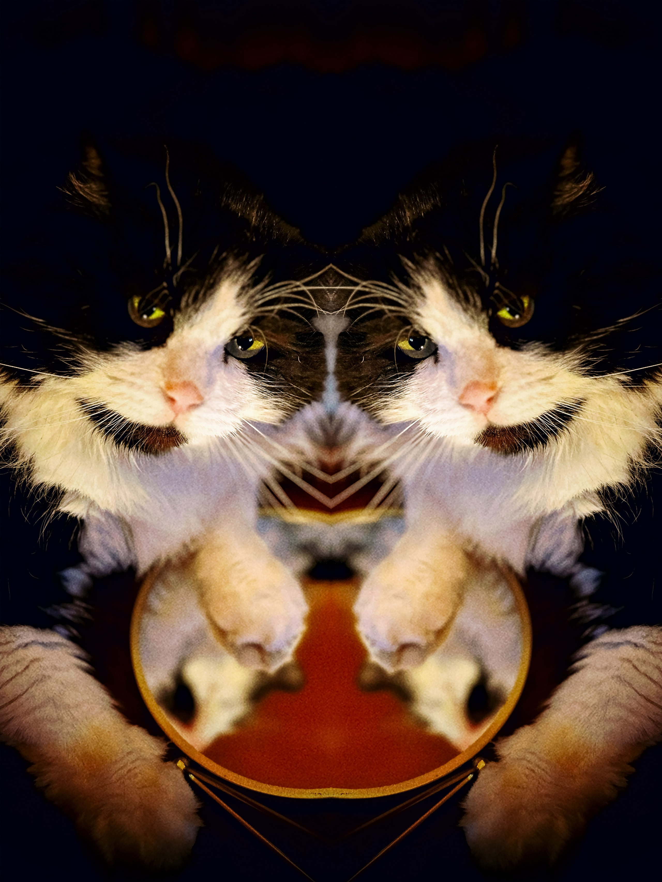 Фотоработы участников выставки «Воспоминания». Арт-фотограф Вика Шаблий, Санкт-Петербург