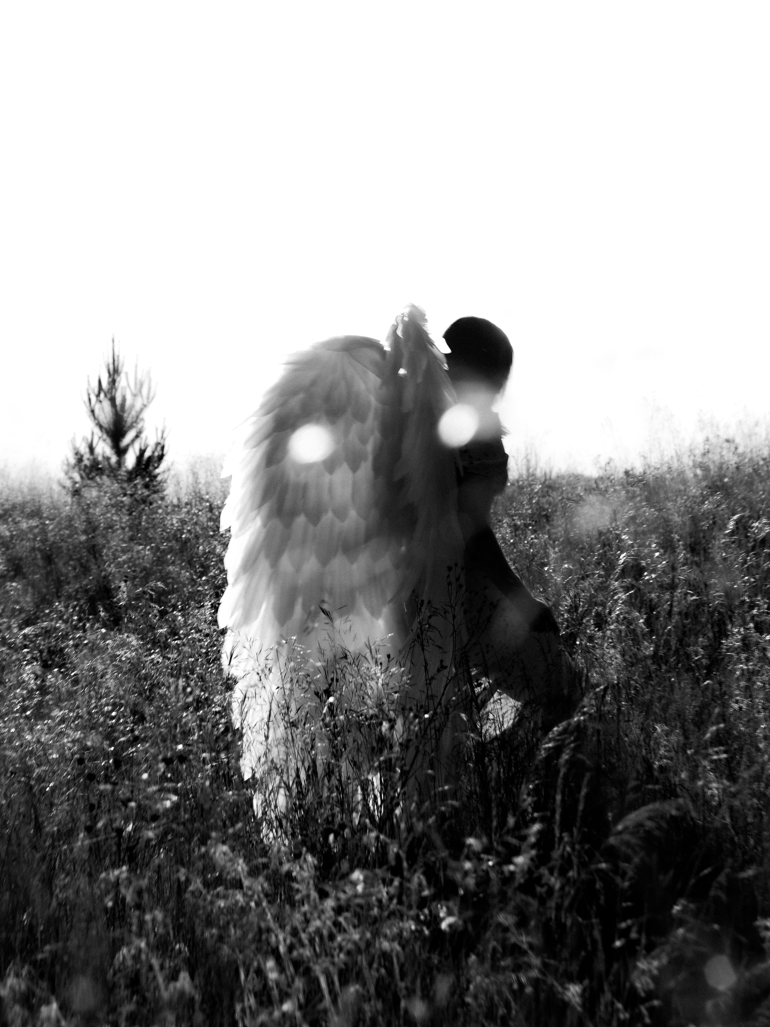 Услуги. Главная