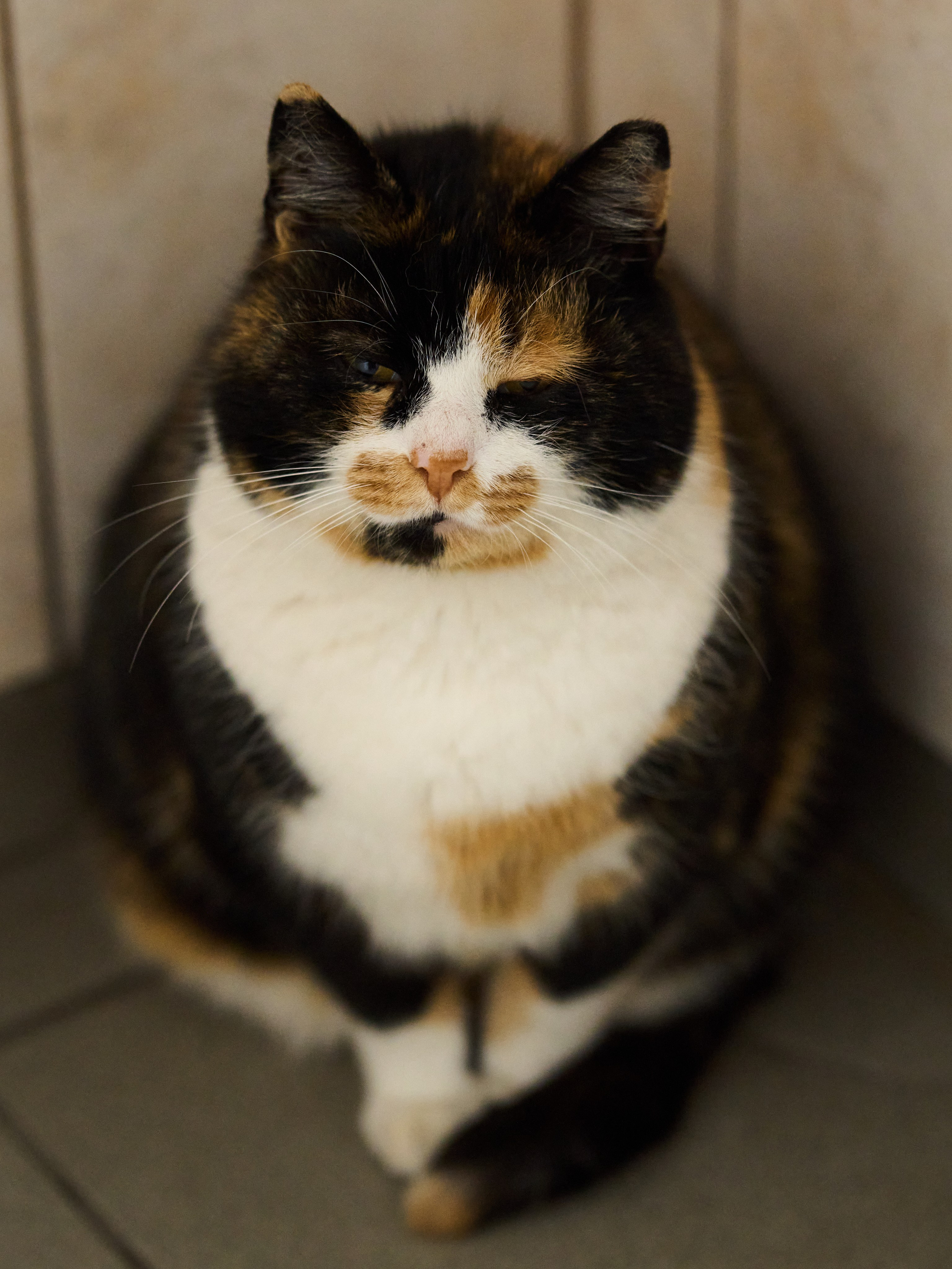 Высота Эфа. Фотограф в Москве Анастасия Баева