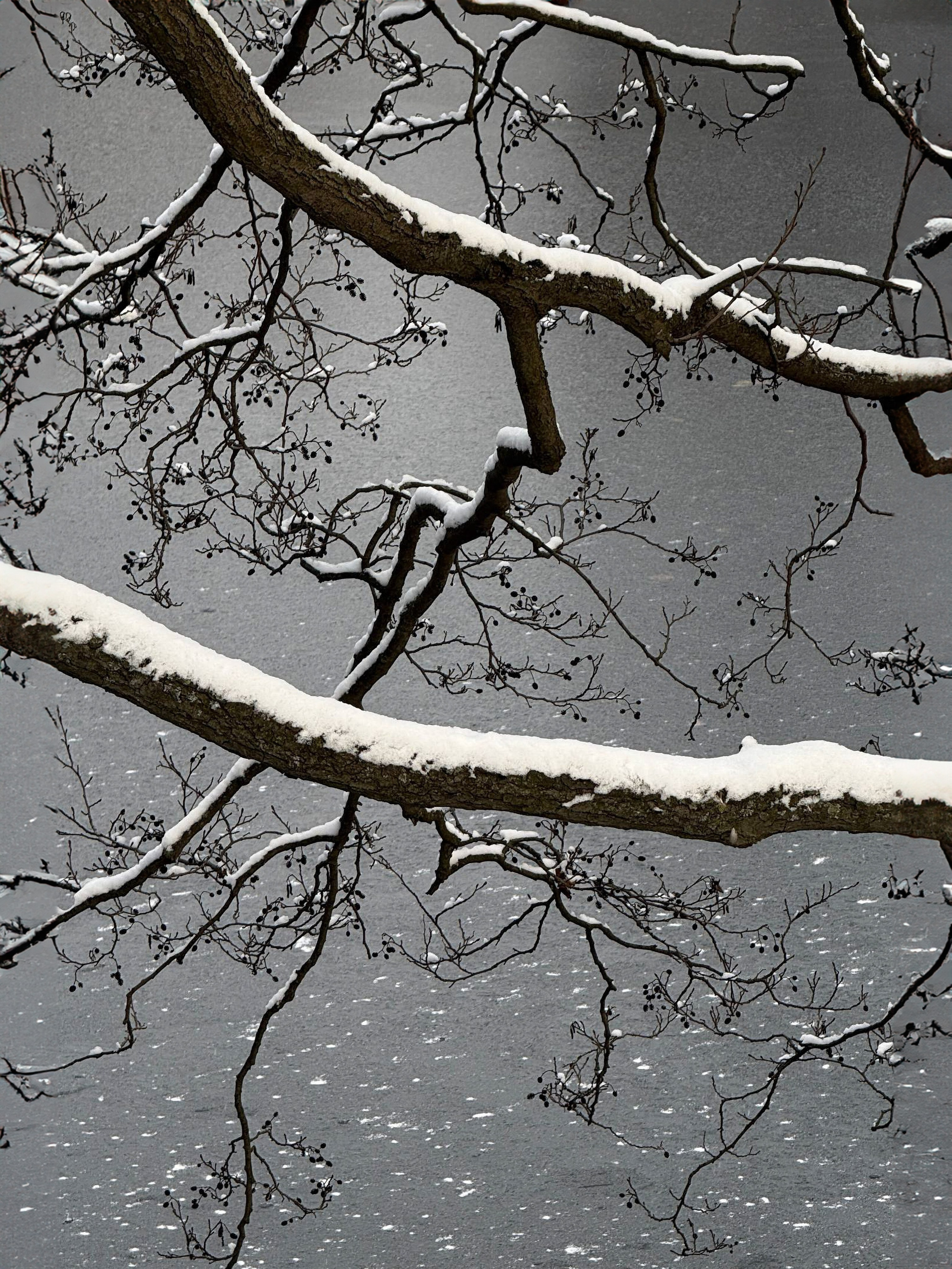 Город, который вы не заметили