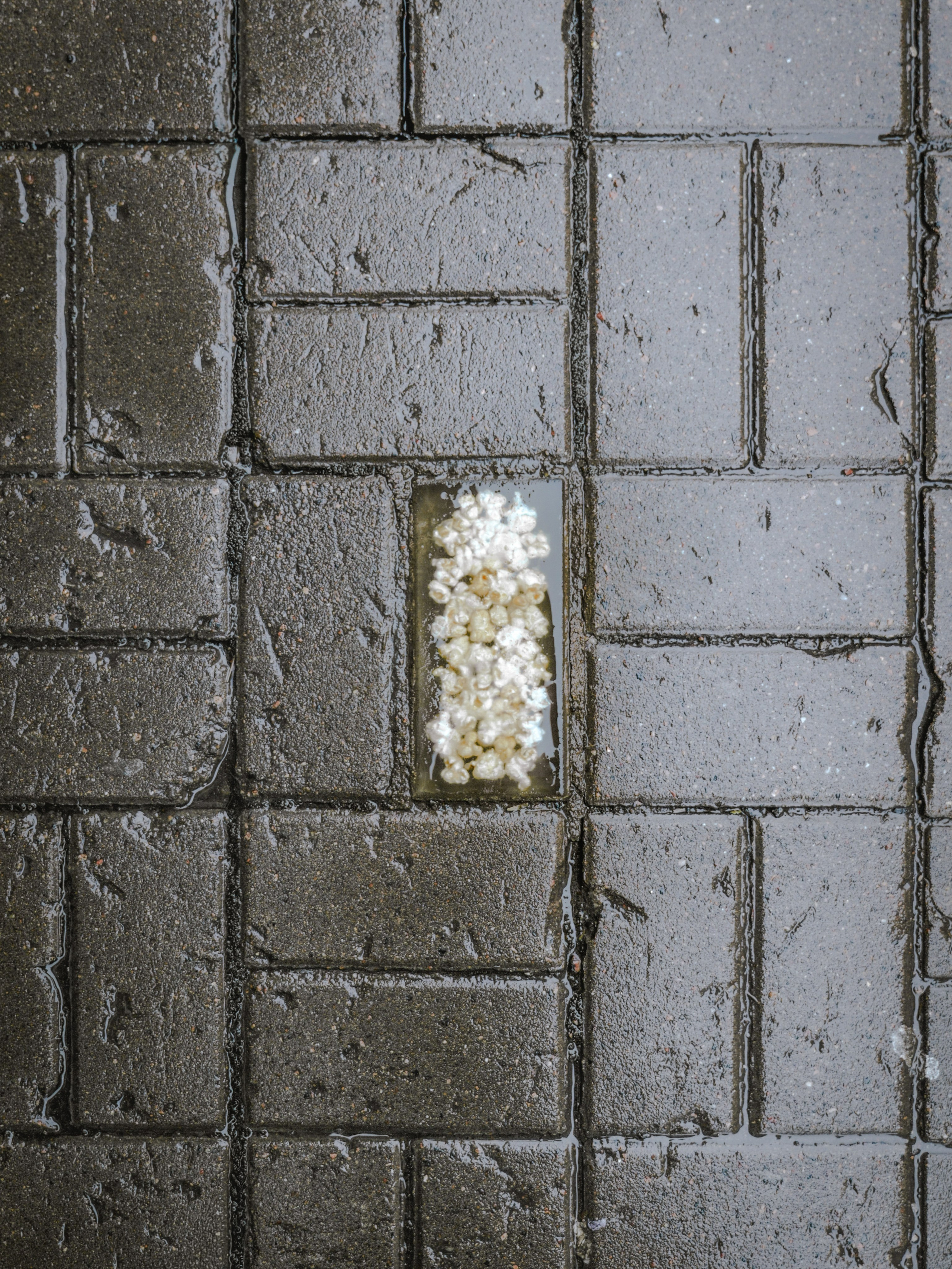 Город, который вы не заметили