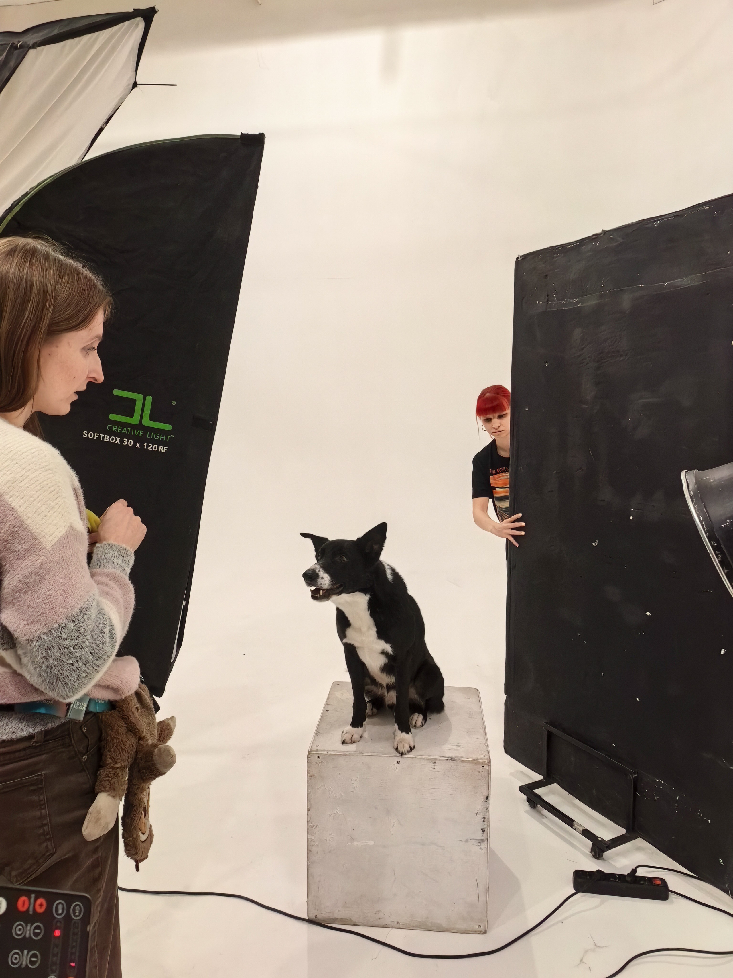 Воркшоп по импульсному свету