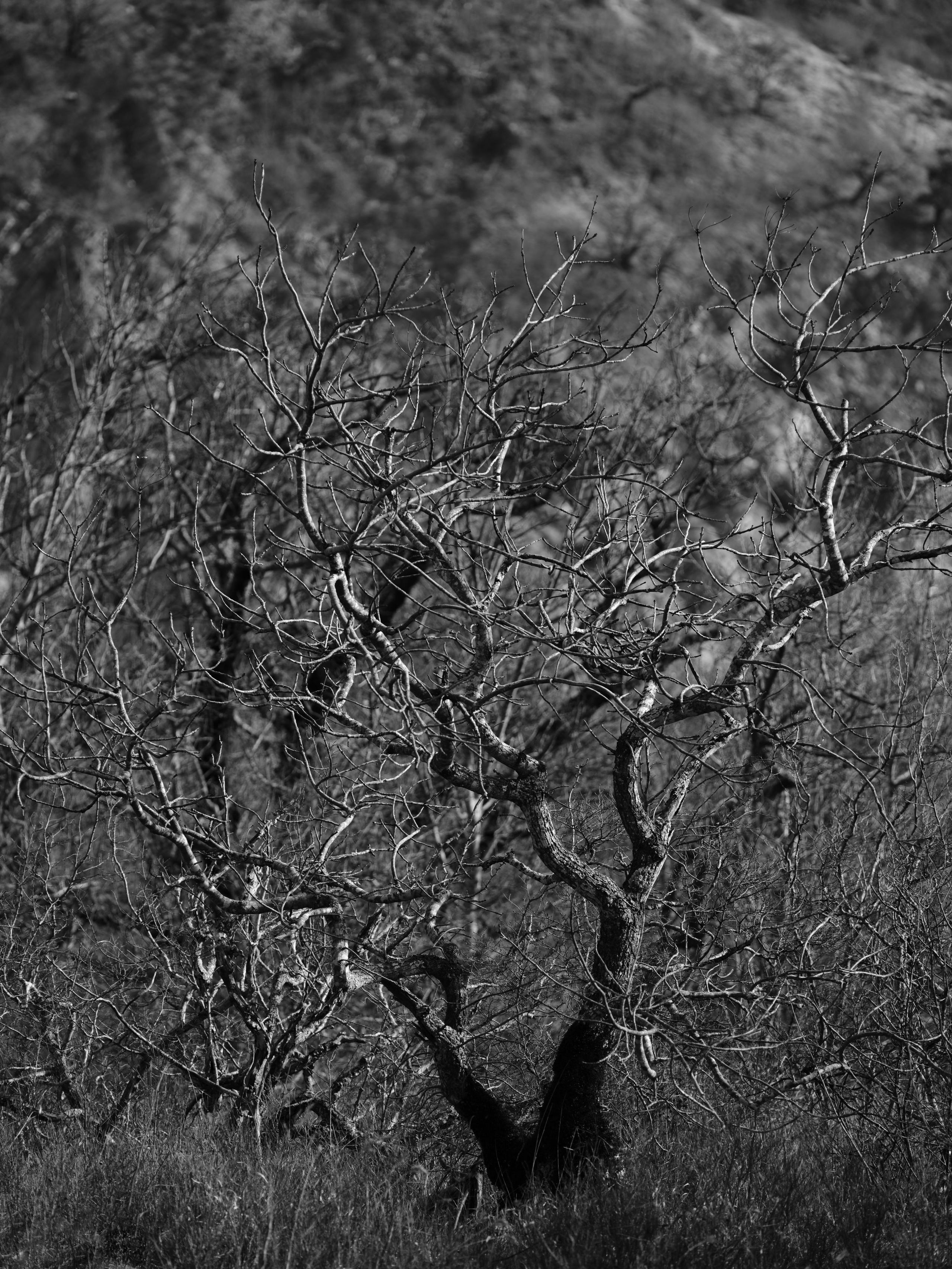 Фотографии