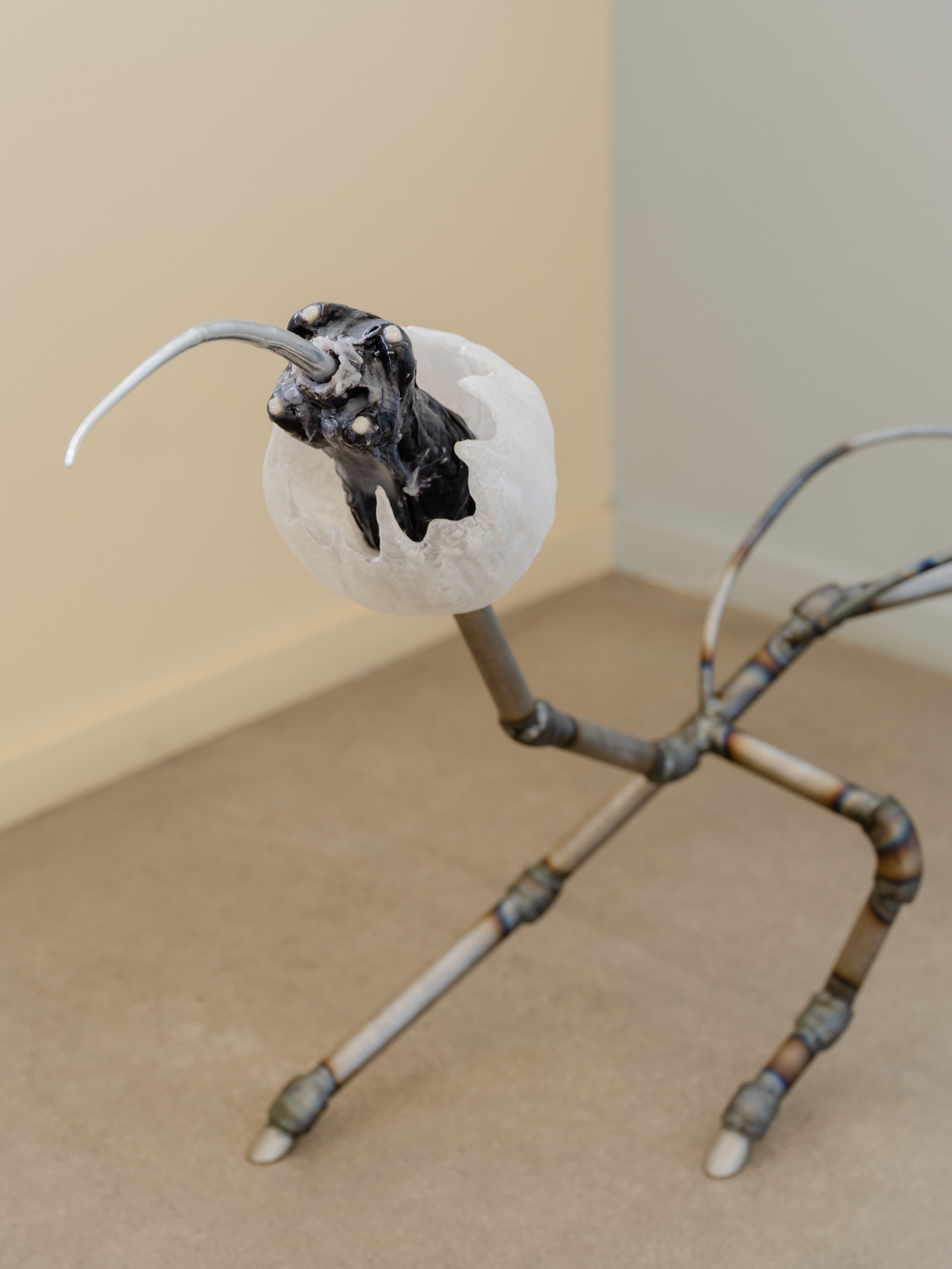 “TERAZUT”, 2026. Ksenia Markelova, multidisciplinary artist, Yekaterinburg