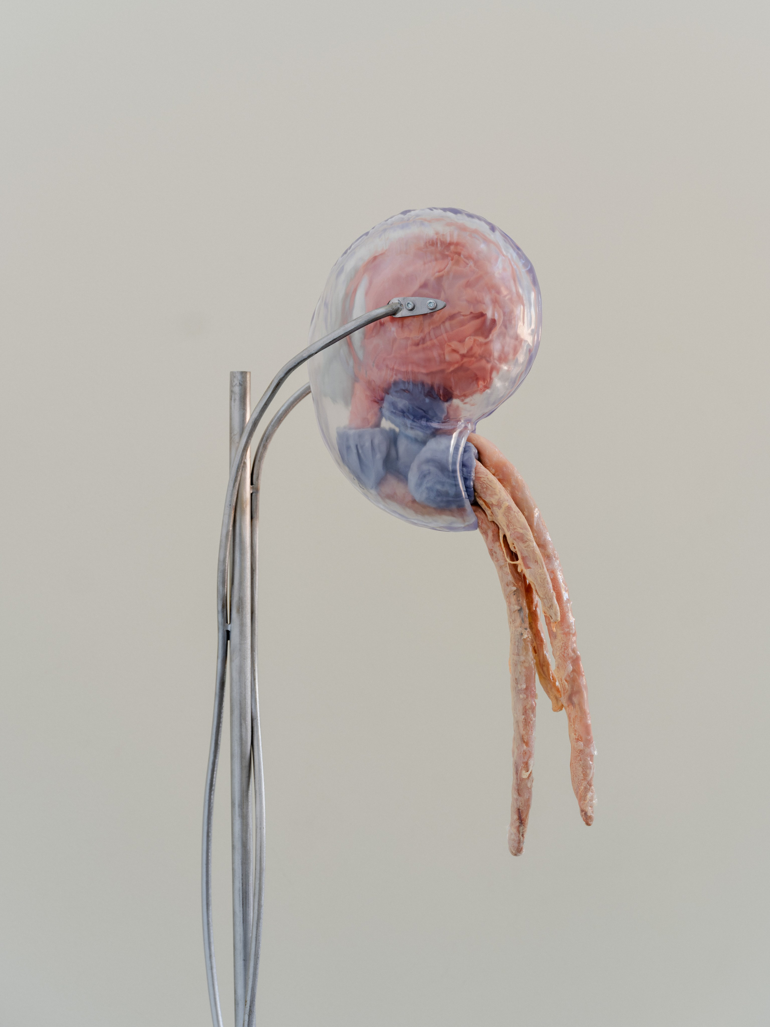 “TERAZUT”, 2026. Ksenia Markelova, multidisciplinary artist, Yekaterinburg