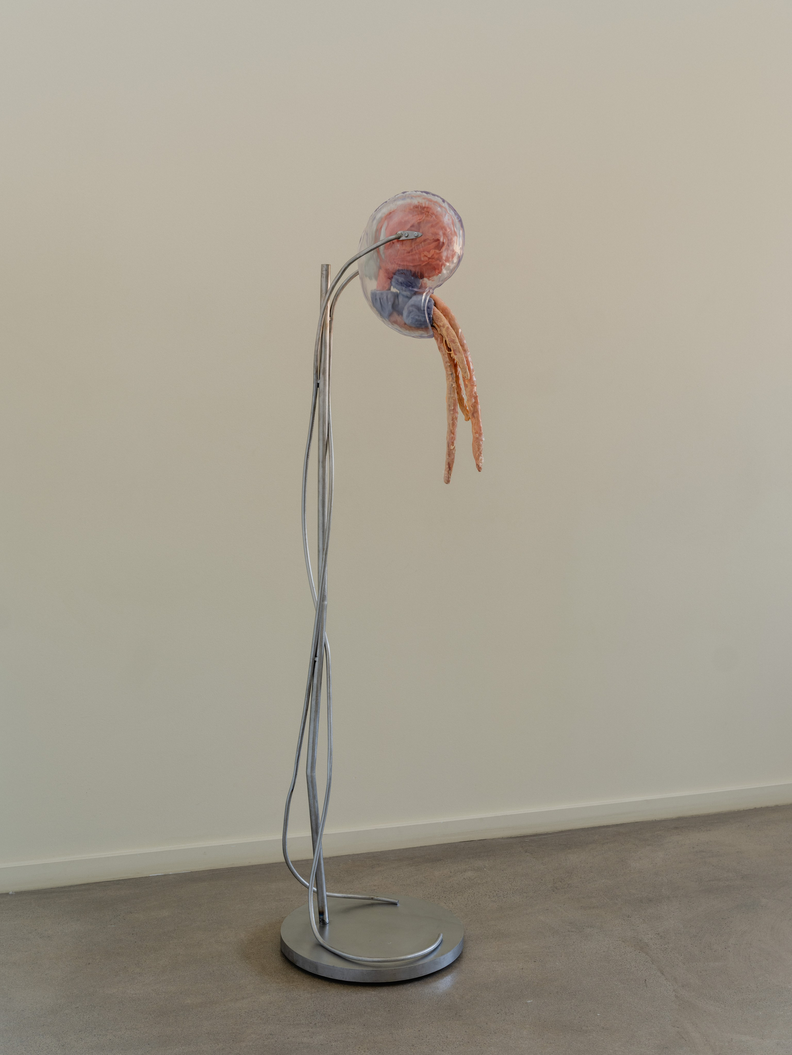 “TERAZUT”, 2026. Ksenia Markelova, multidisciplinary artist, Yekaterinburg