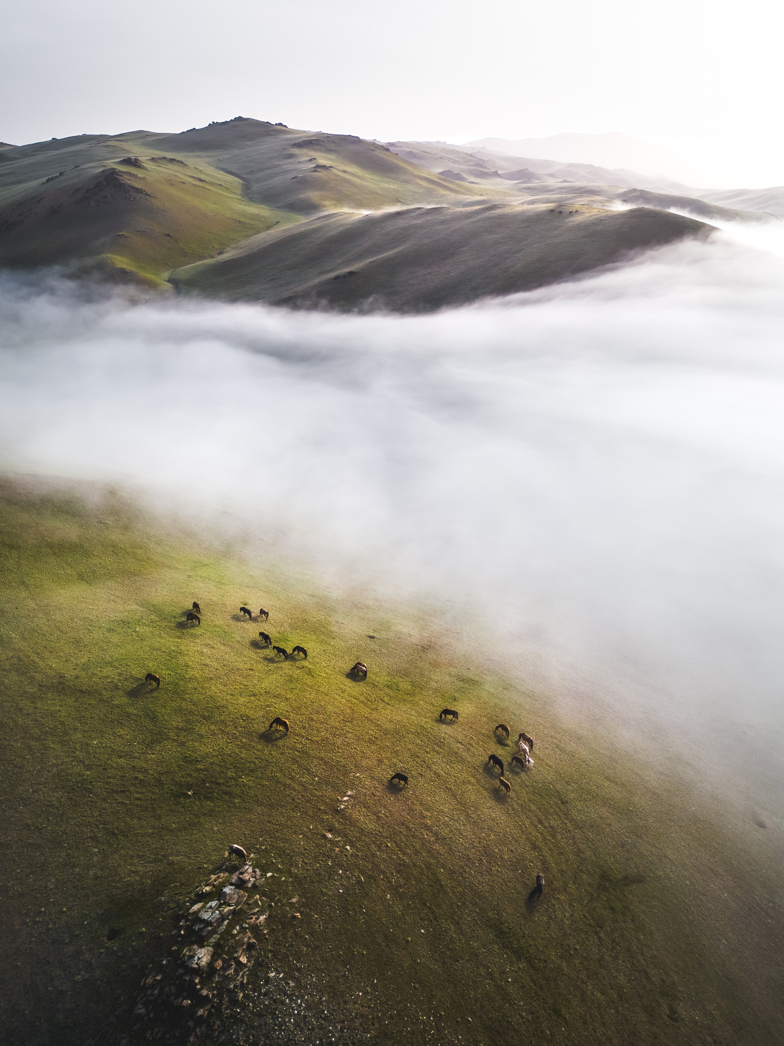 Весенний фототур в Кыргызстан