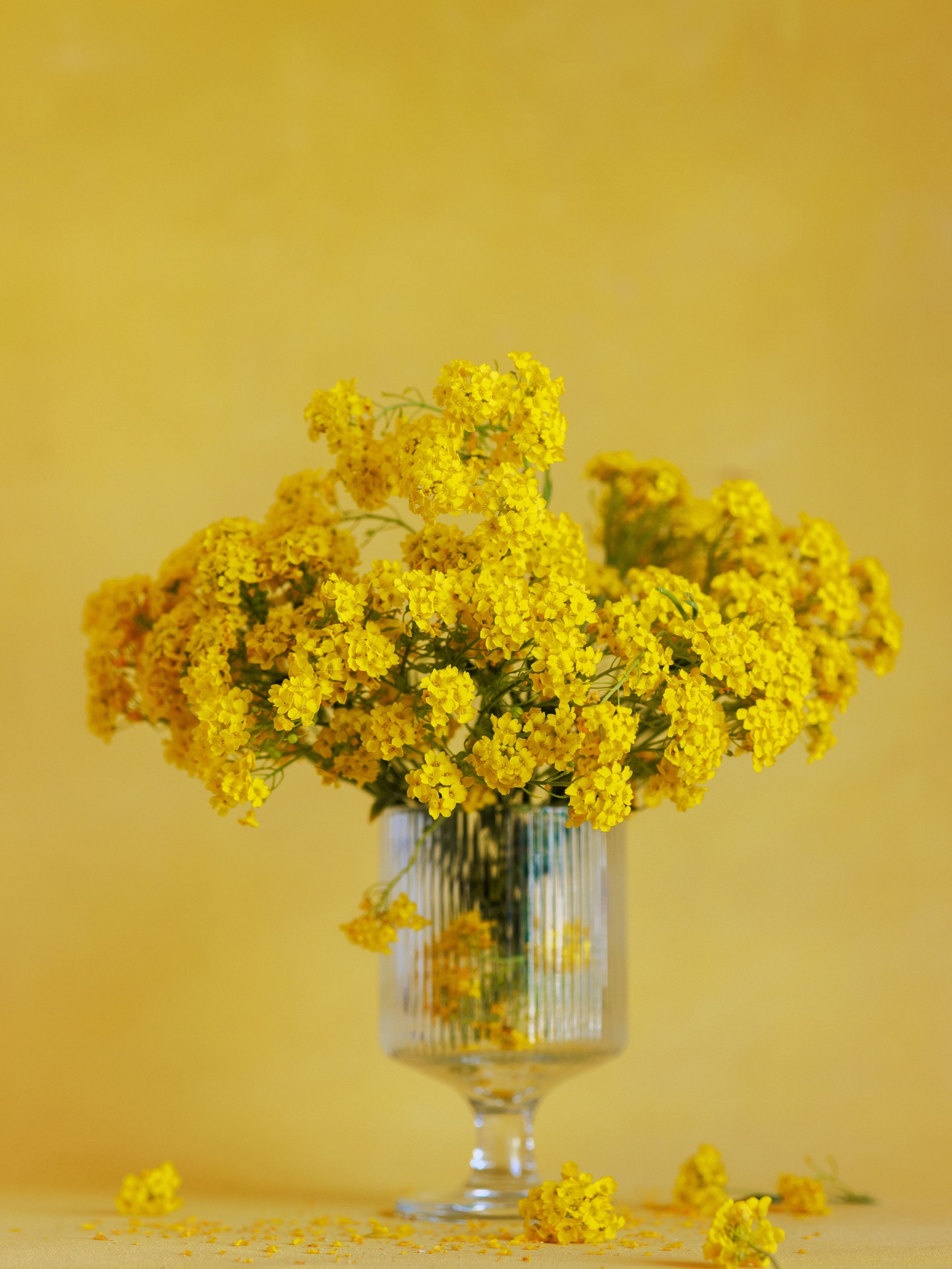 Botanical Still Lifes. Author’s fine art prints with international delivery