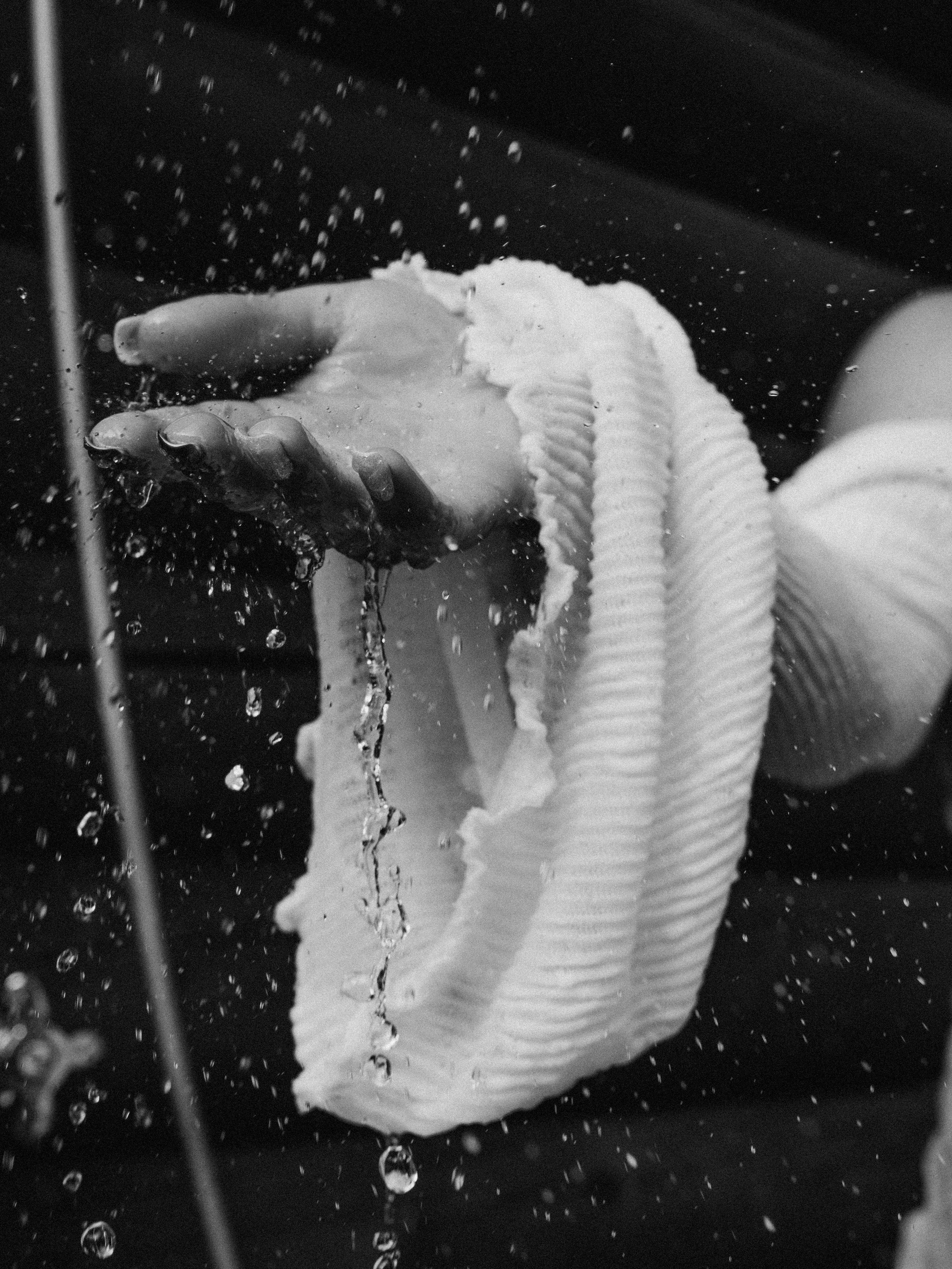 Женский фотограф