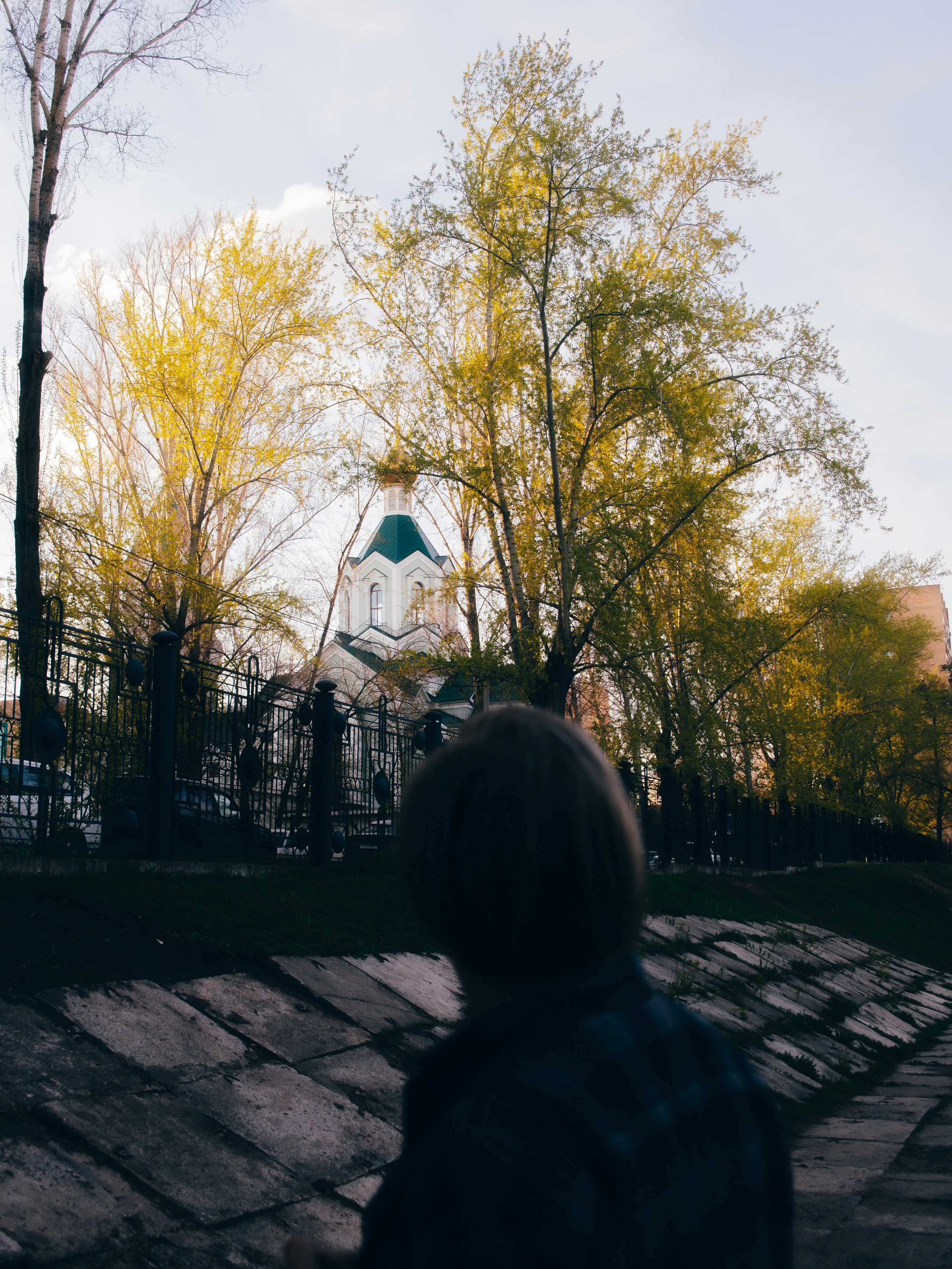Прогулка с Даней