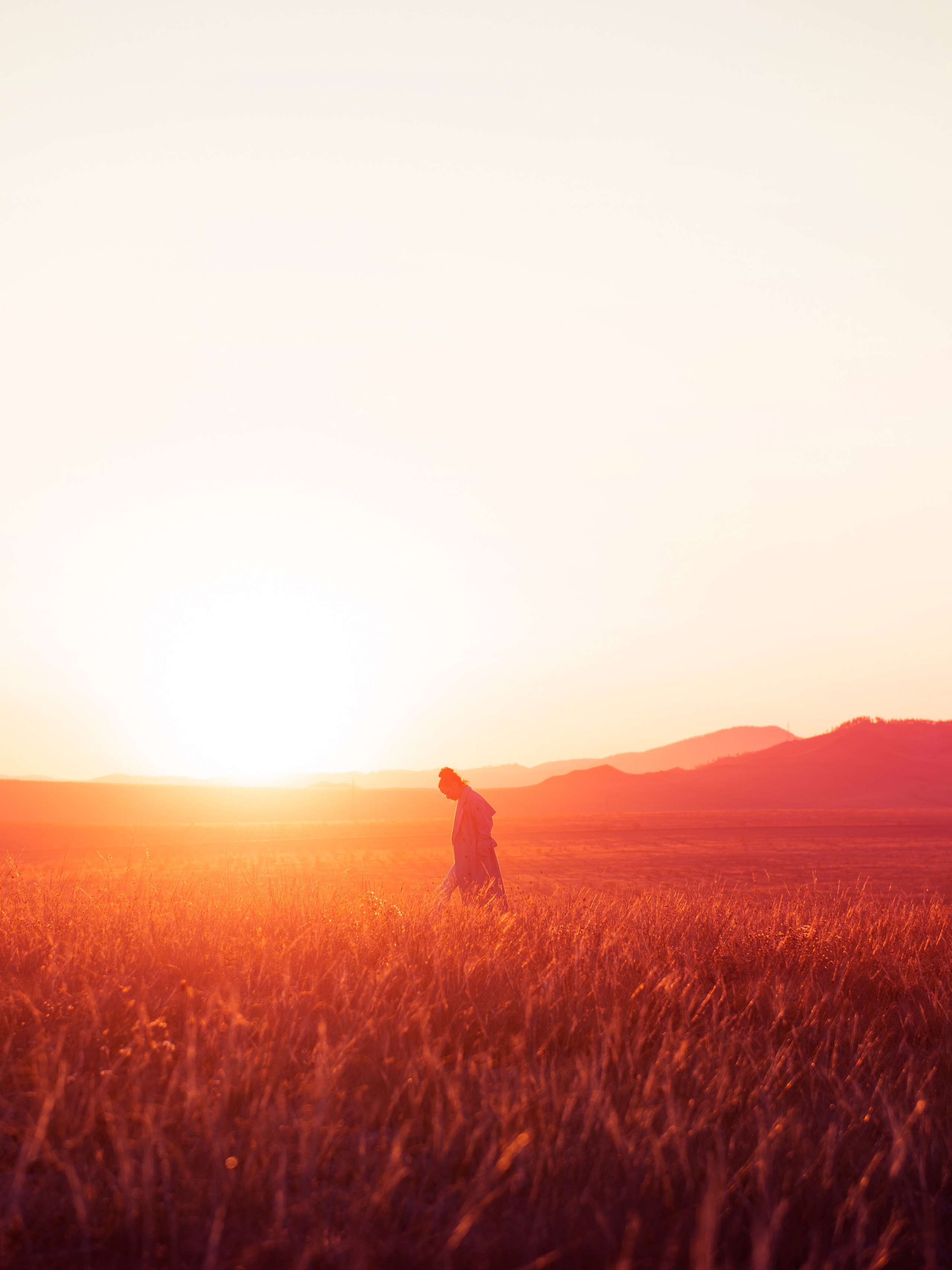 Контакты. Профессиональная High-End Ретушь | Ретушер и предметный фотограф Алла Белова