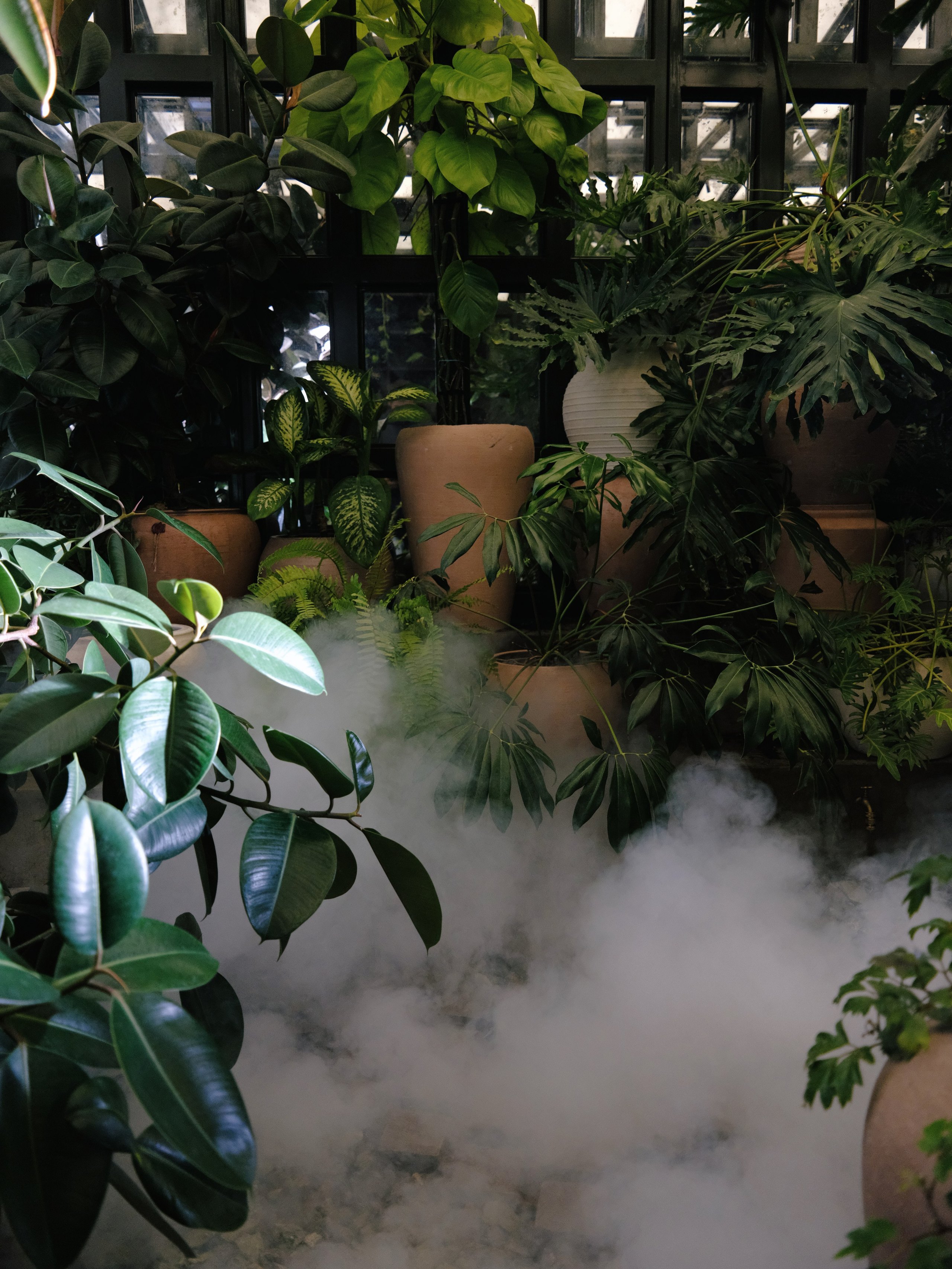 Фотостудия-оранжерея в Краснодаре ЖК Сердце