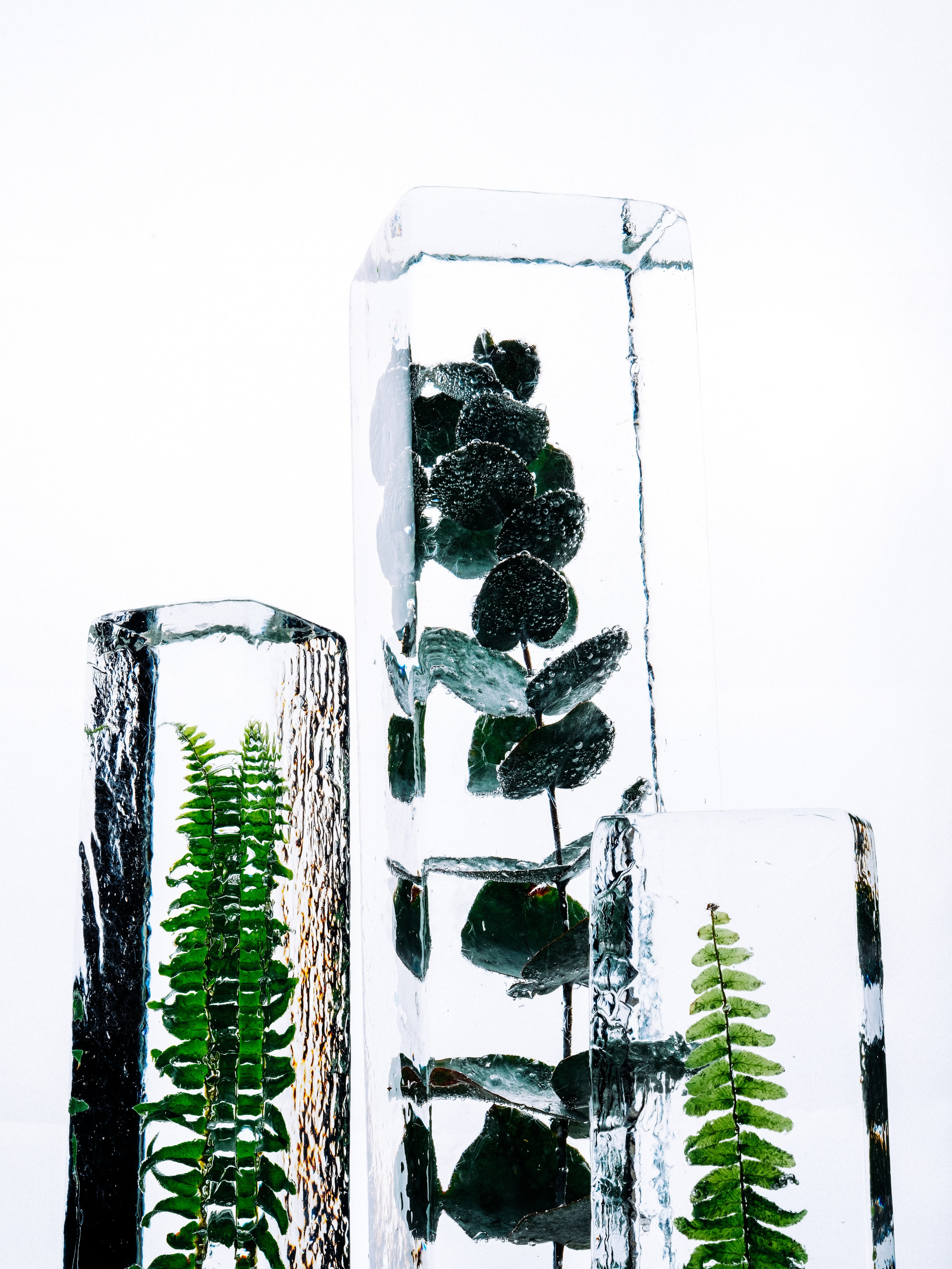 Фотостудия-оранжерея в Краснодаре ЖК Сердце