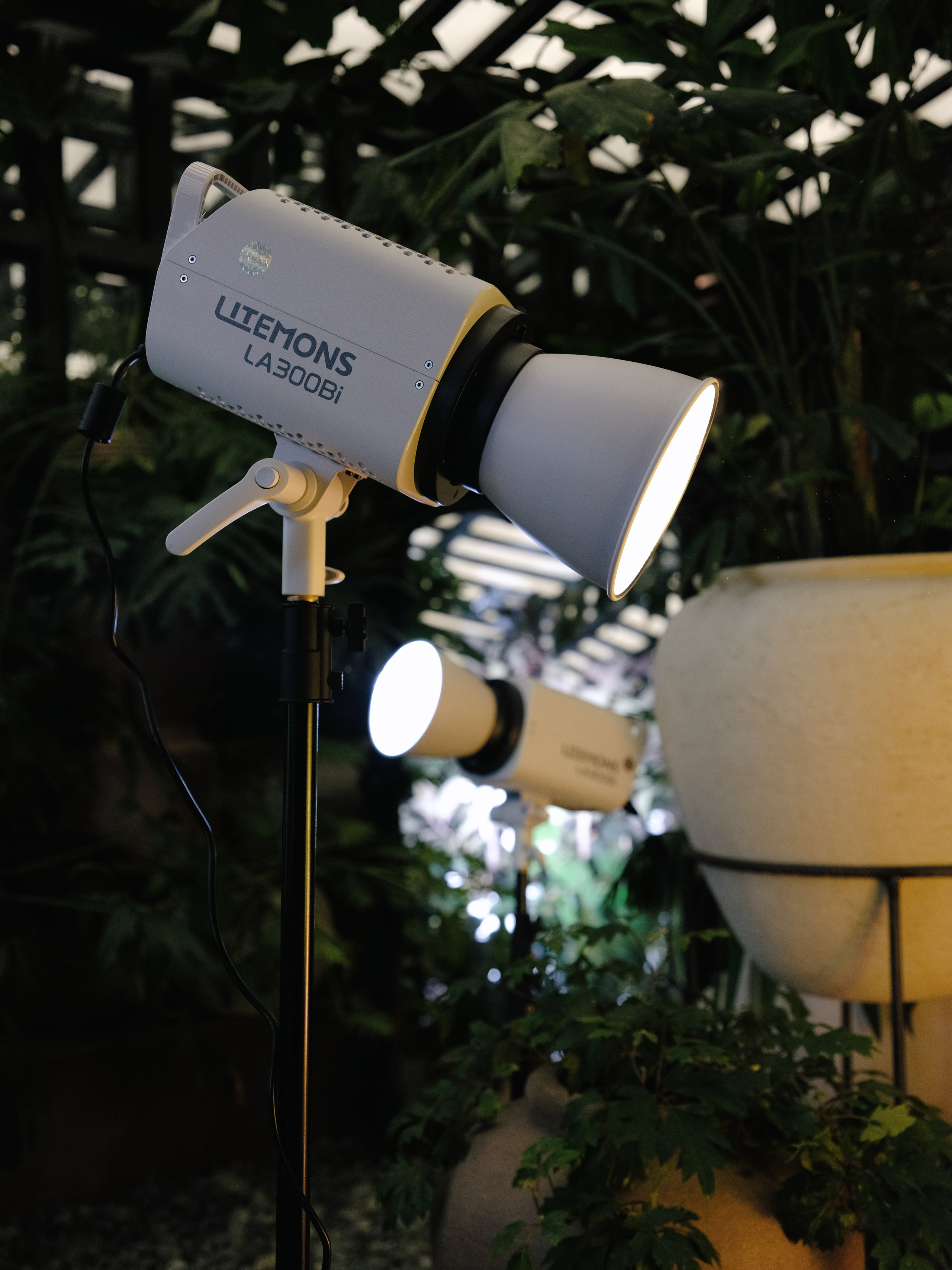 Фотостудия-оранжерея в Краснодаре ЖК Сердце