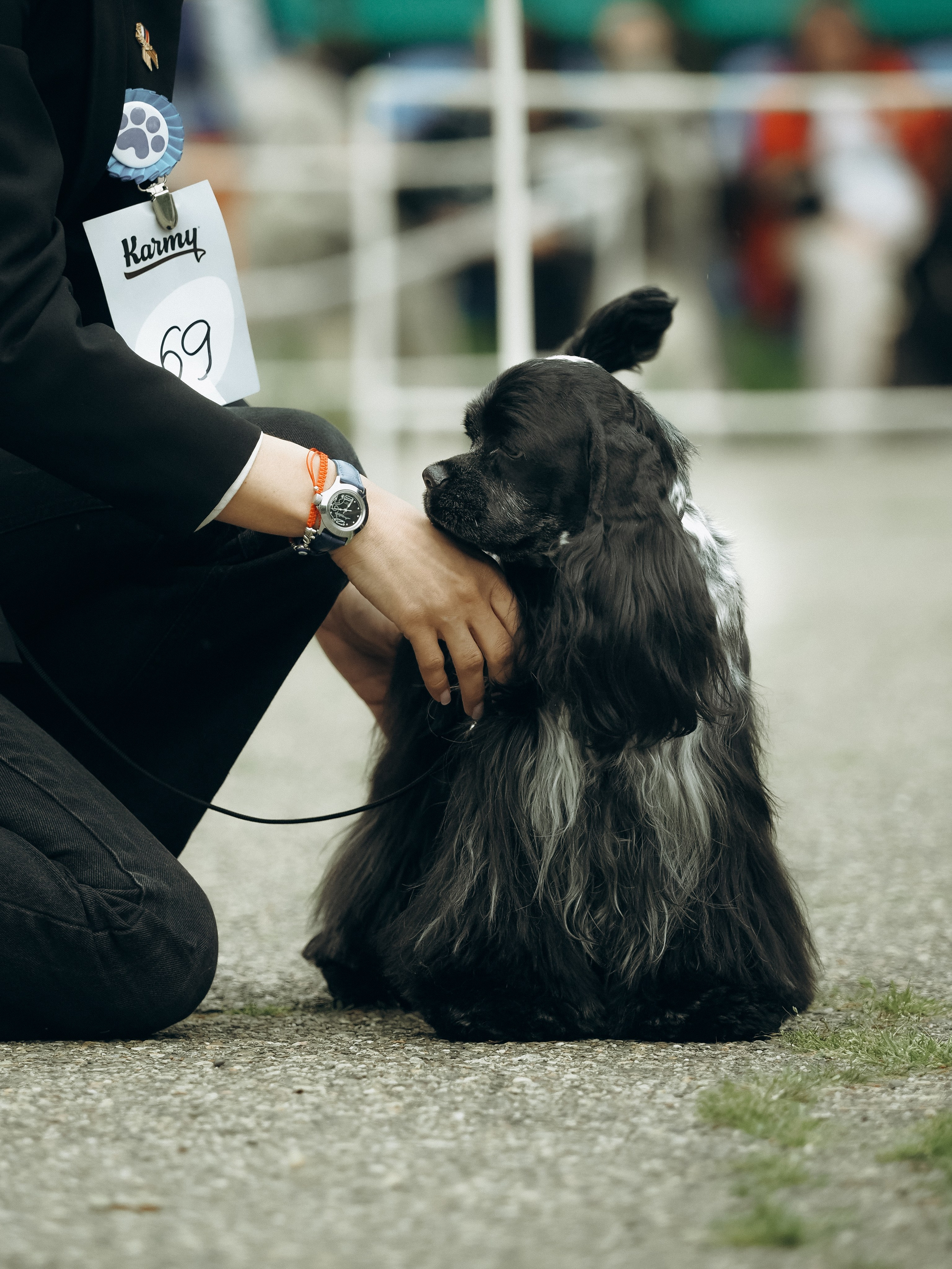 Контакты. Фотограф анималист Тюгаева Мария