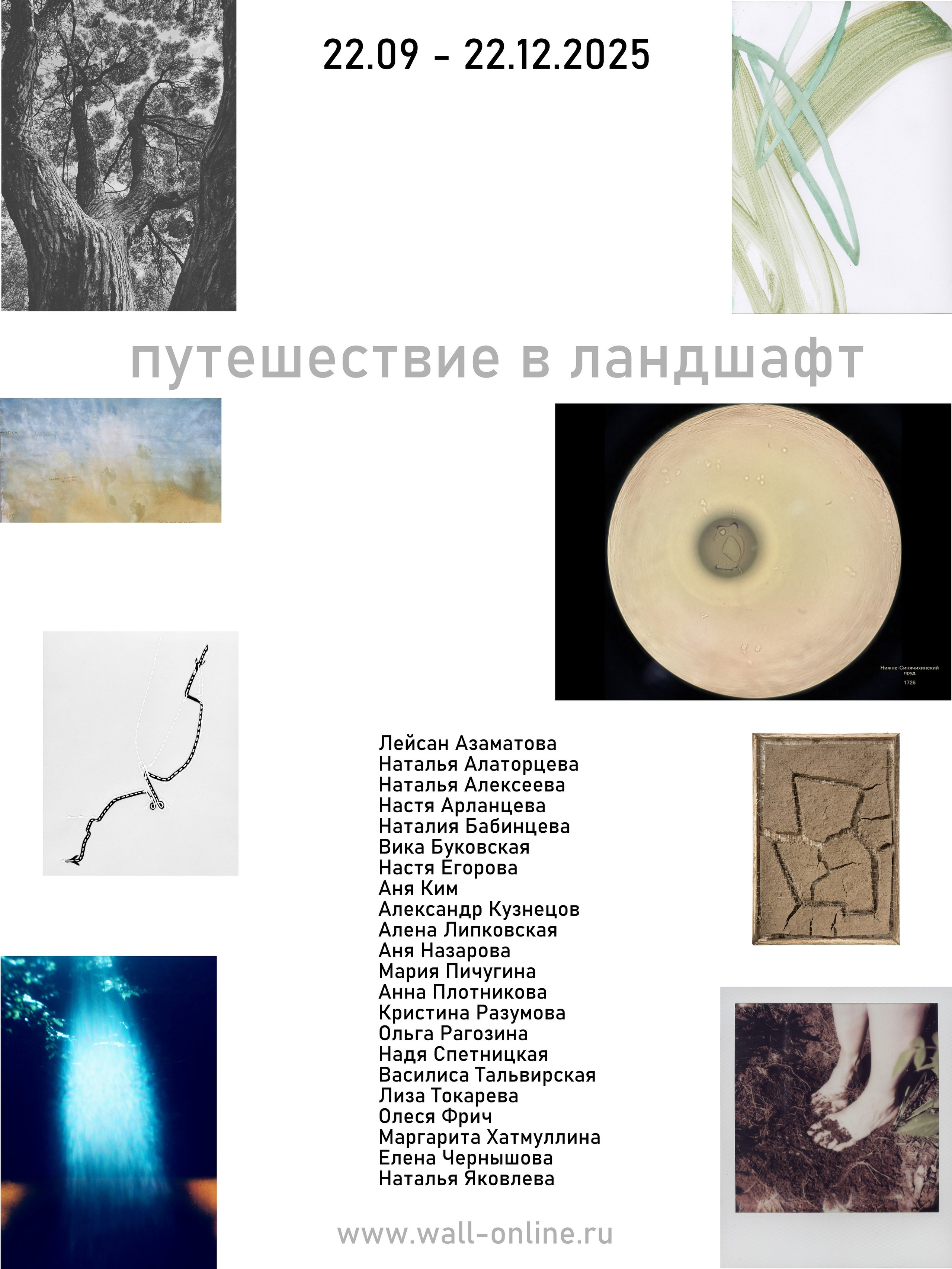 Wall-online- выставки современного искусства, школа walking